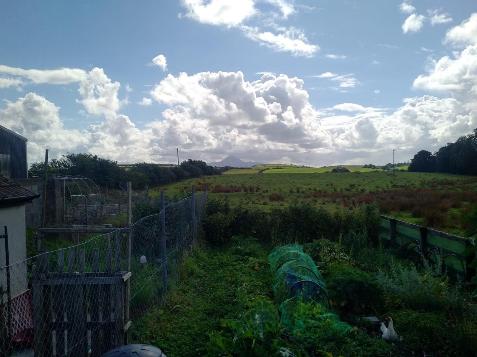 Double Room With Garden View photo 2