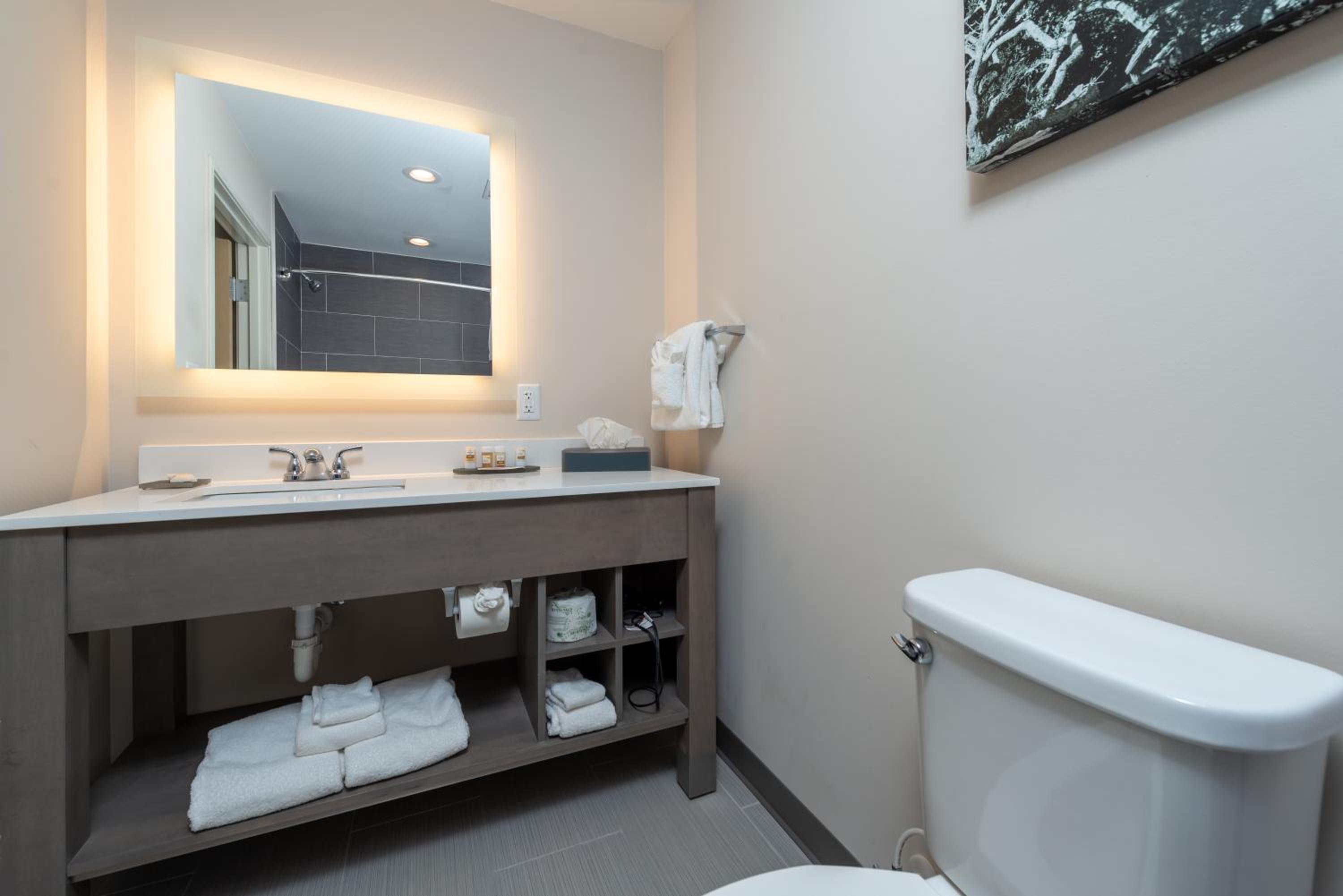 Queen Room with Hearing Accessible Roll In Shower photo 2