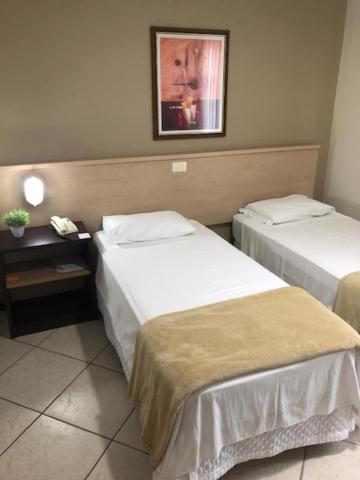 Deluxe Double or Twin Room photo 1