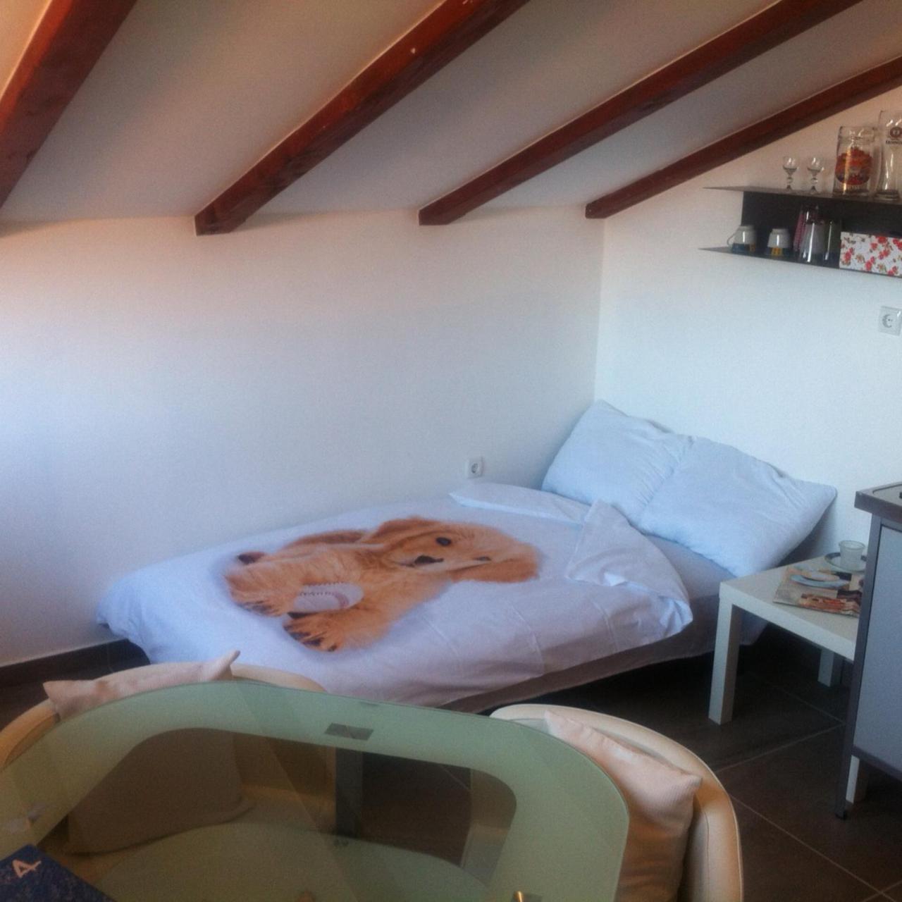 Studio Apartment with Sea View