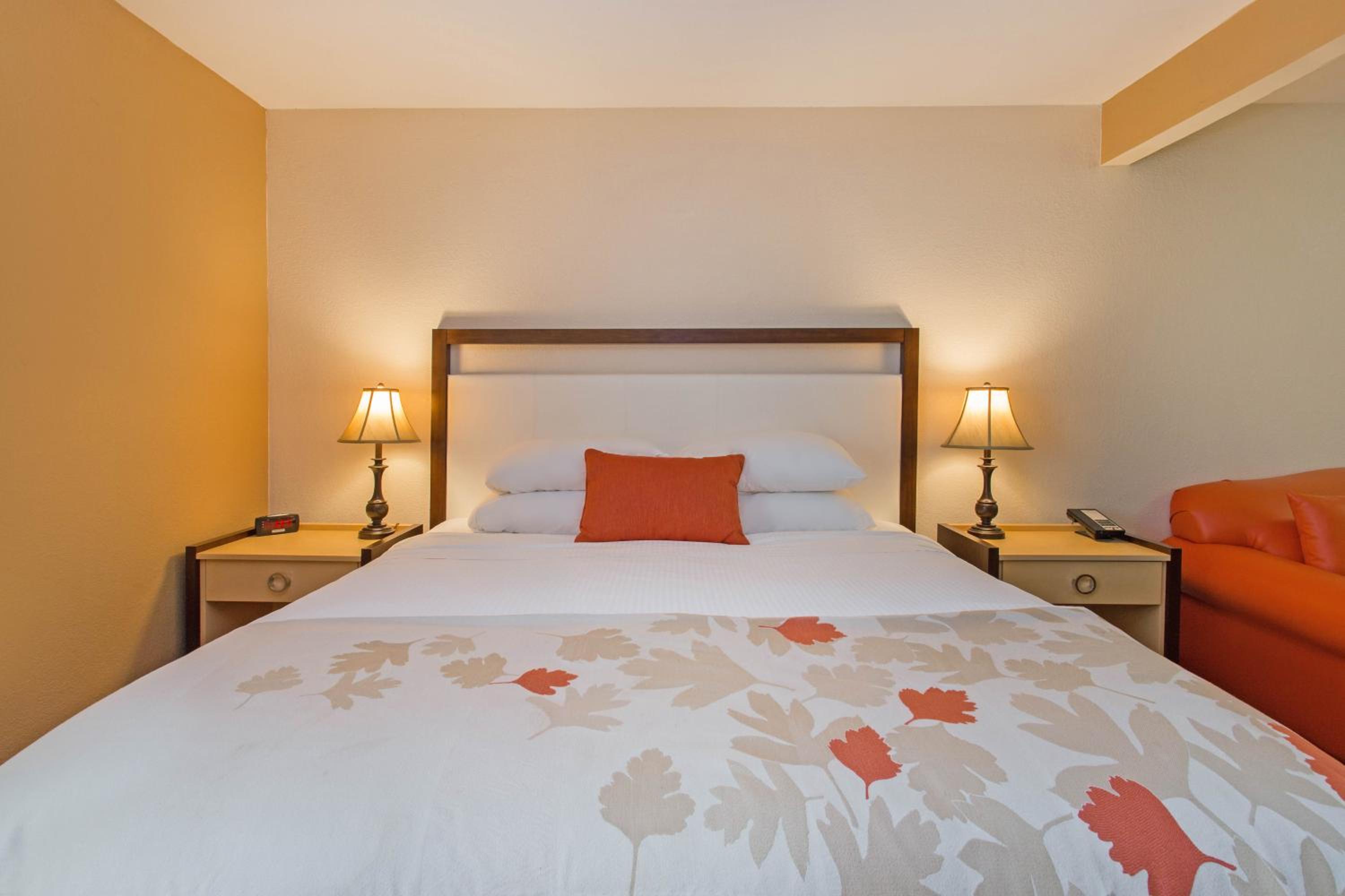 King Room - Disability Access - Non-Smoking - Photo 1