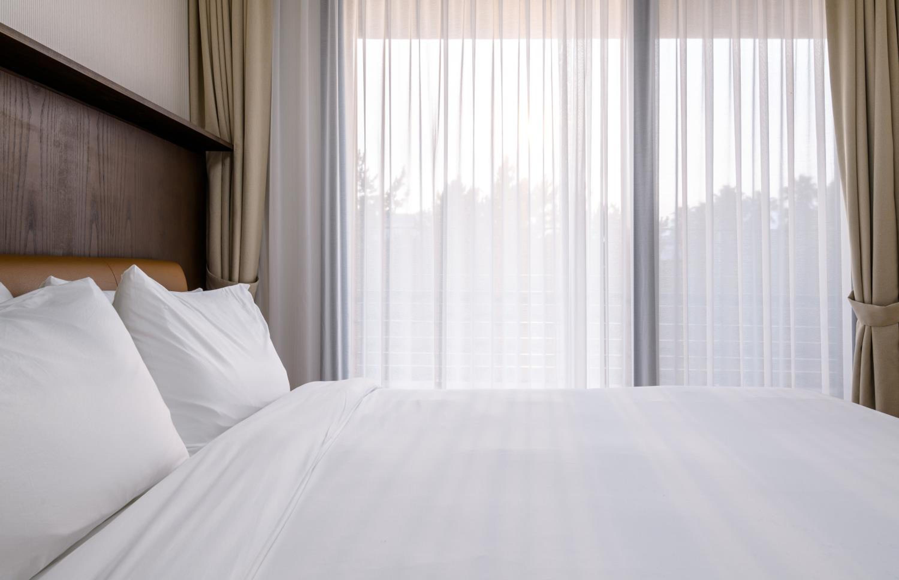 Deluxe Suite - Photo 17