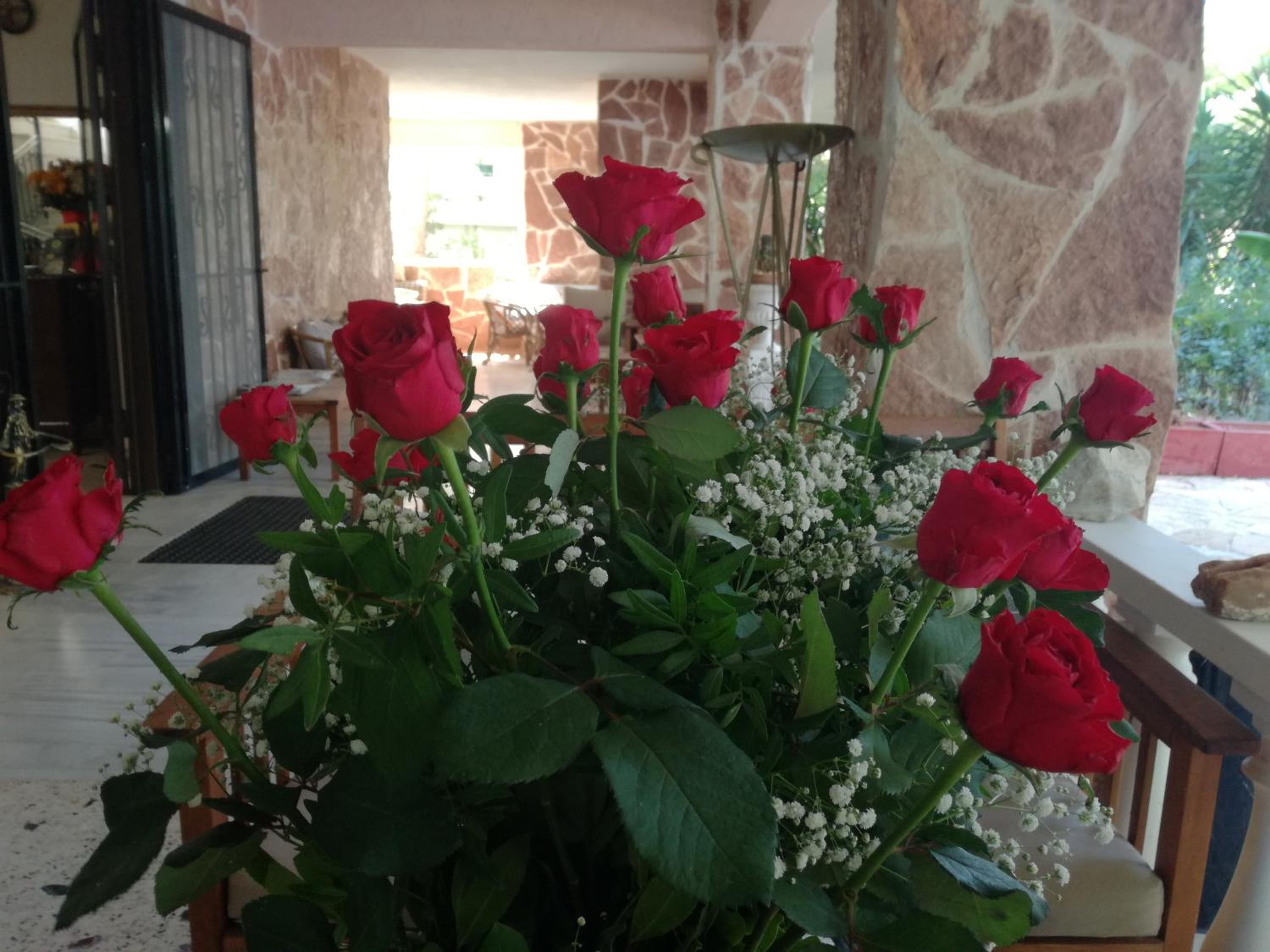 Studio with Terrace photo 3