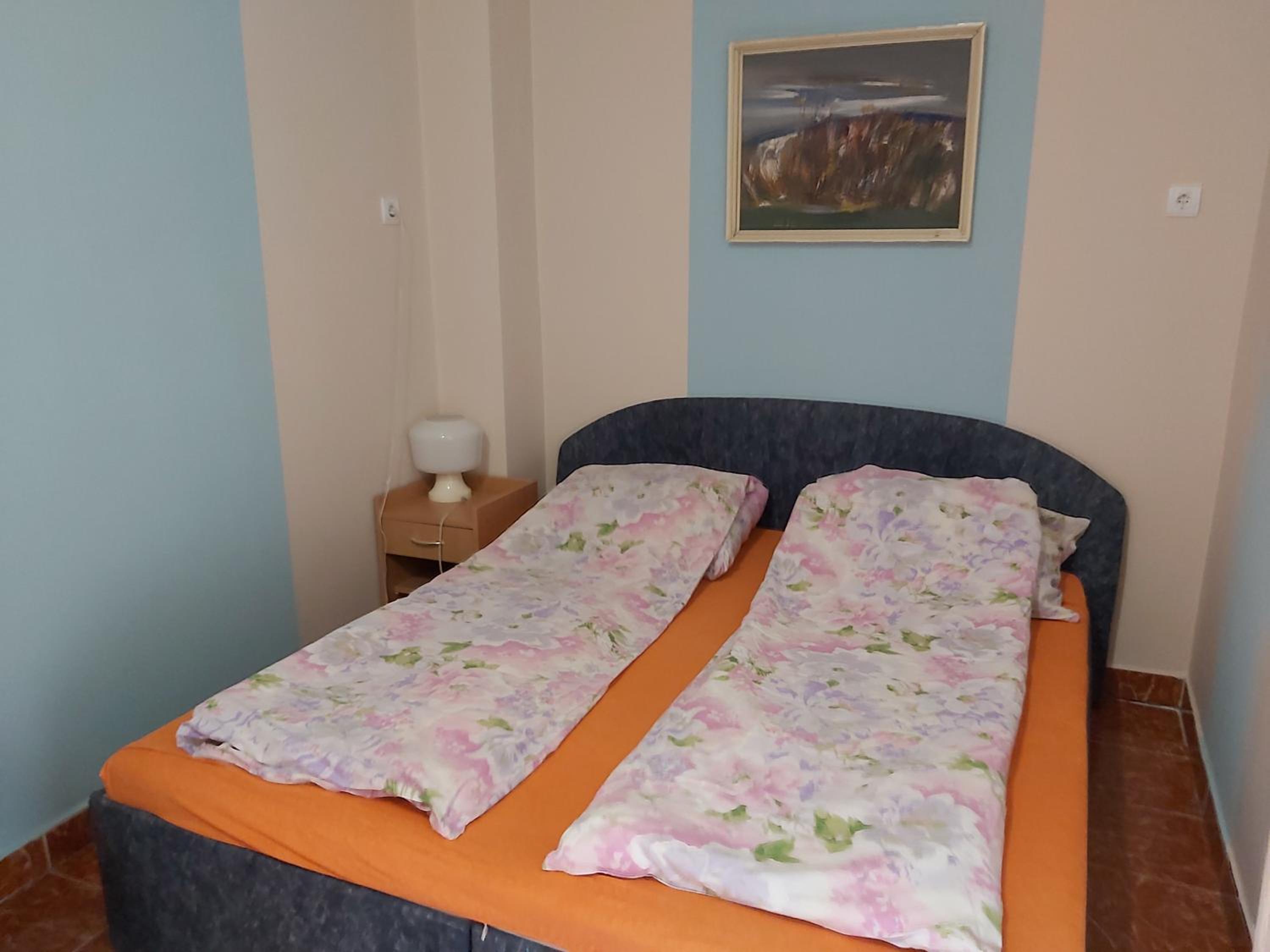 Apartment with Terrace photo 1