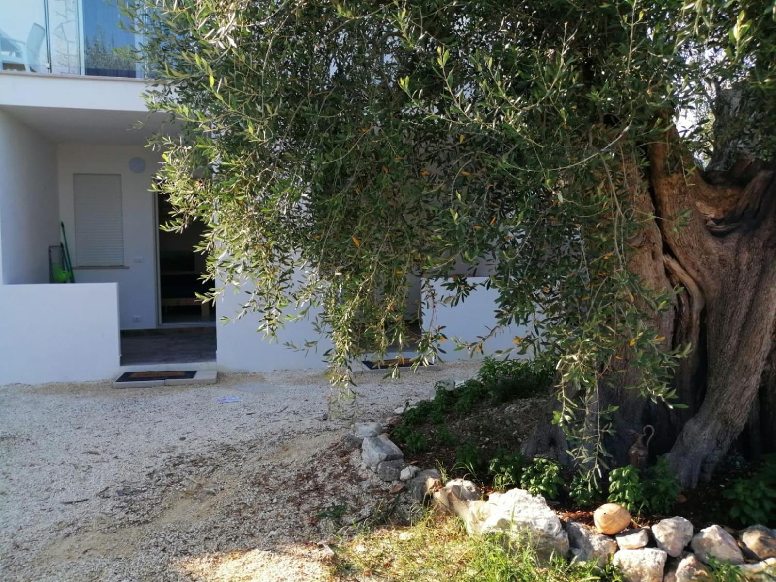 One-Bedroom House - Photo 4