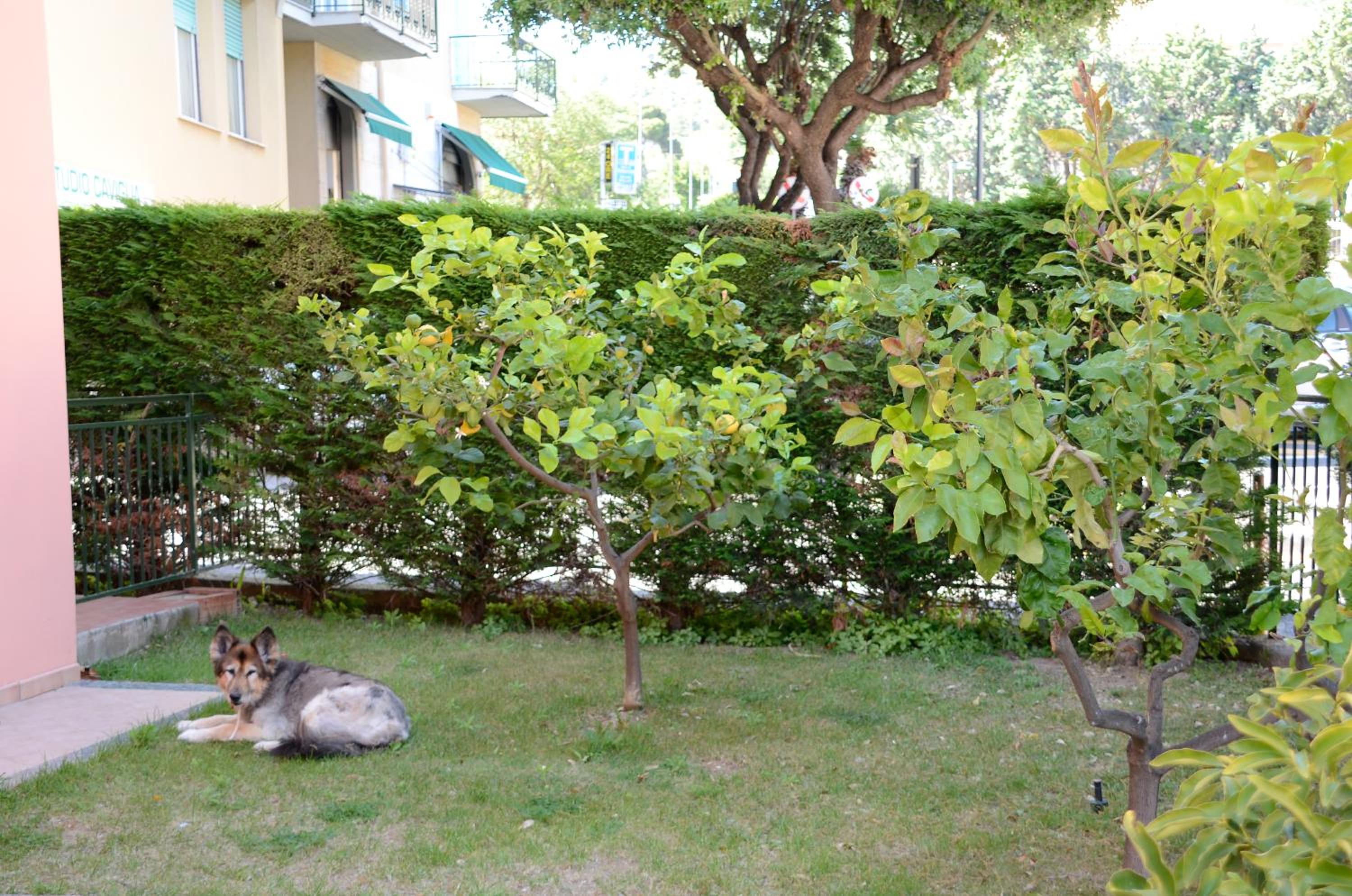 Apartment with Garden View photo 3