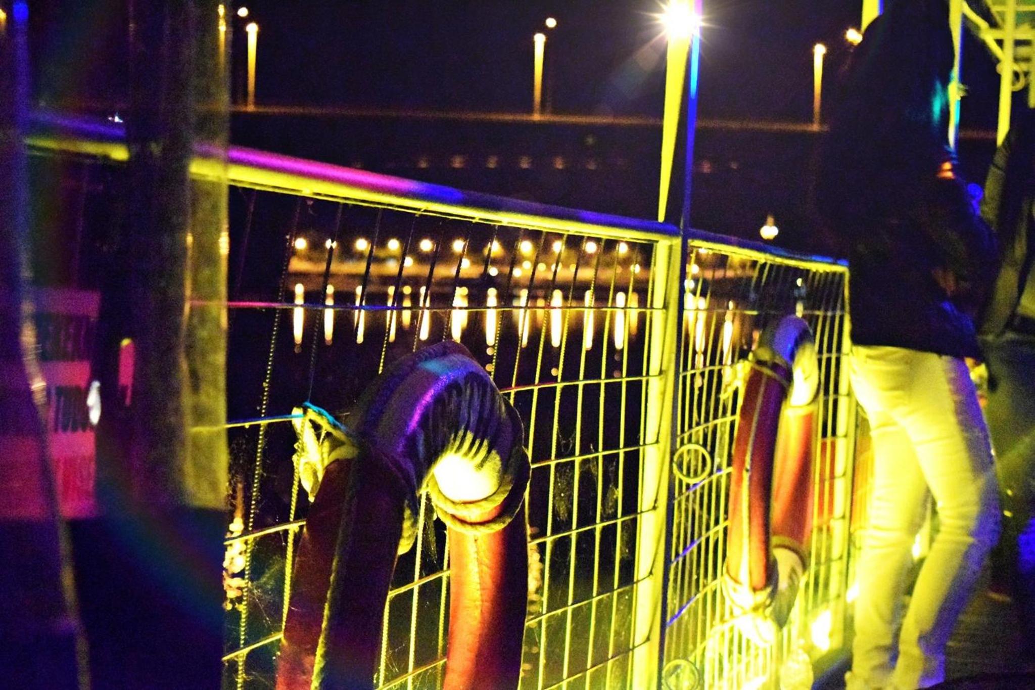 Empty Lot - Photo 9