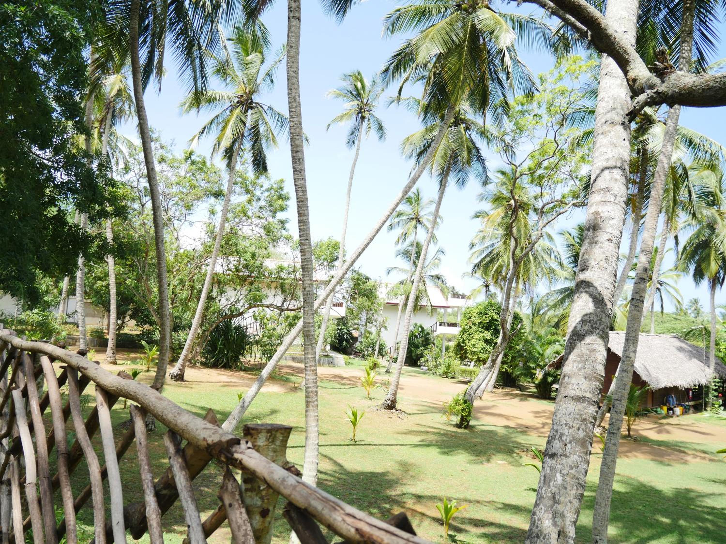 Cabana - Photo 3