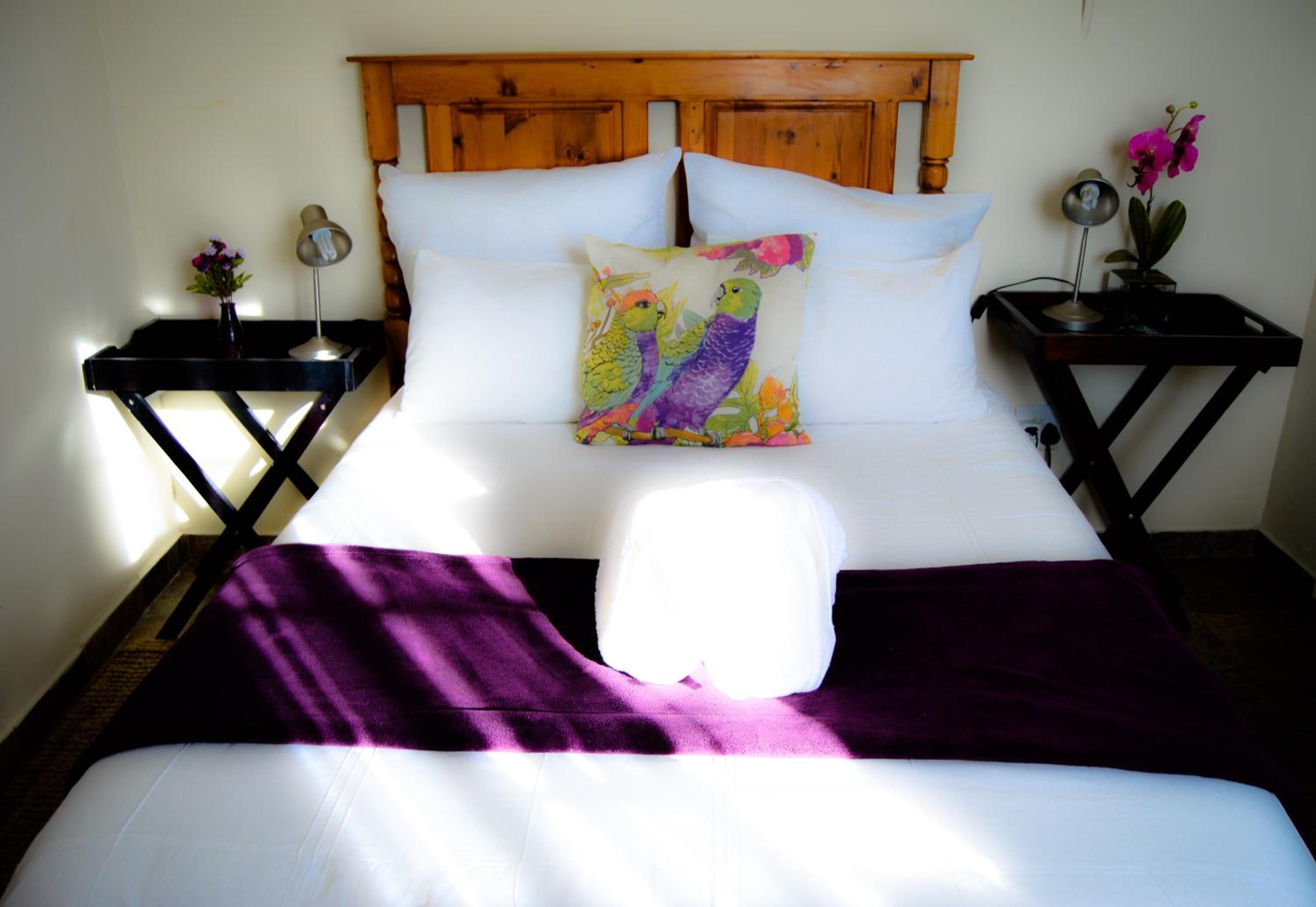 Basic Double Room photo 3
