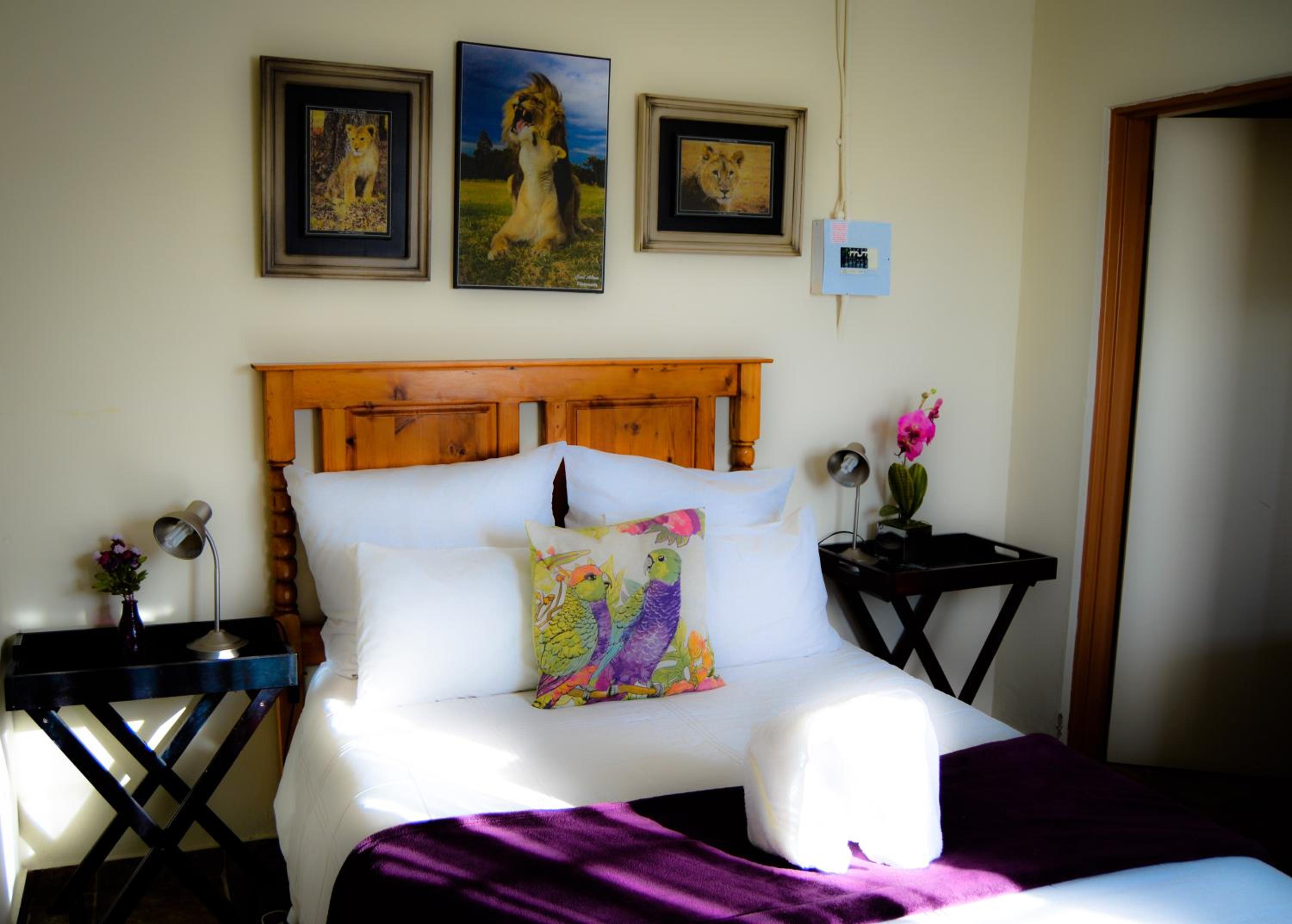 Basic Double Room photo 1