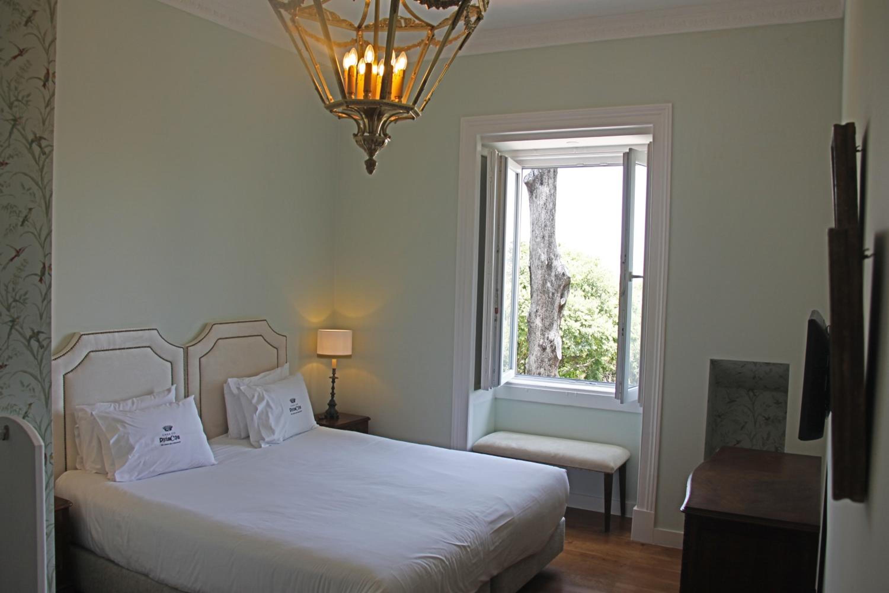 Premium Double or Twin Room photo 3