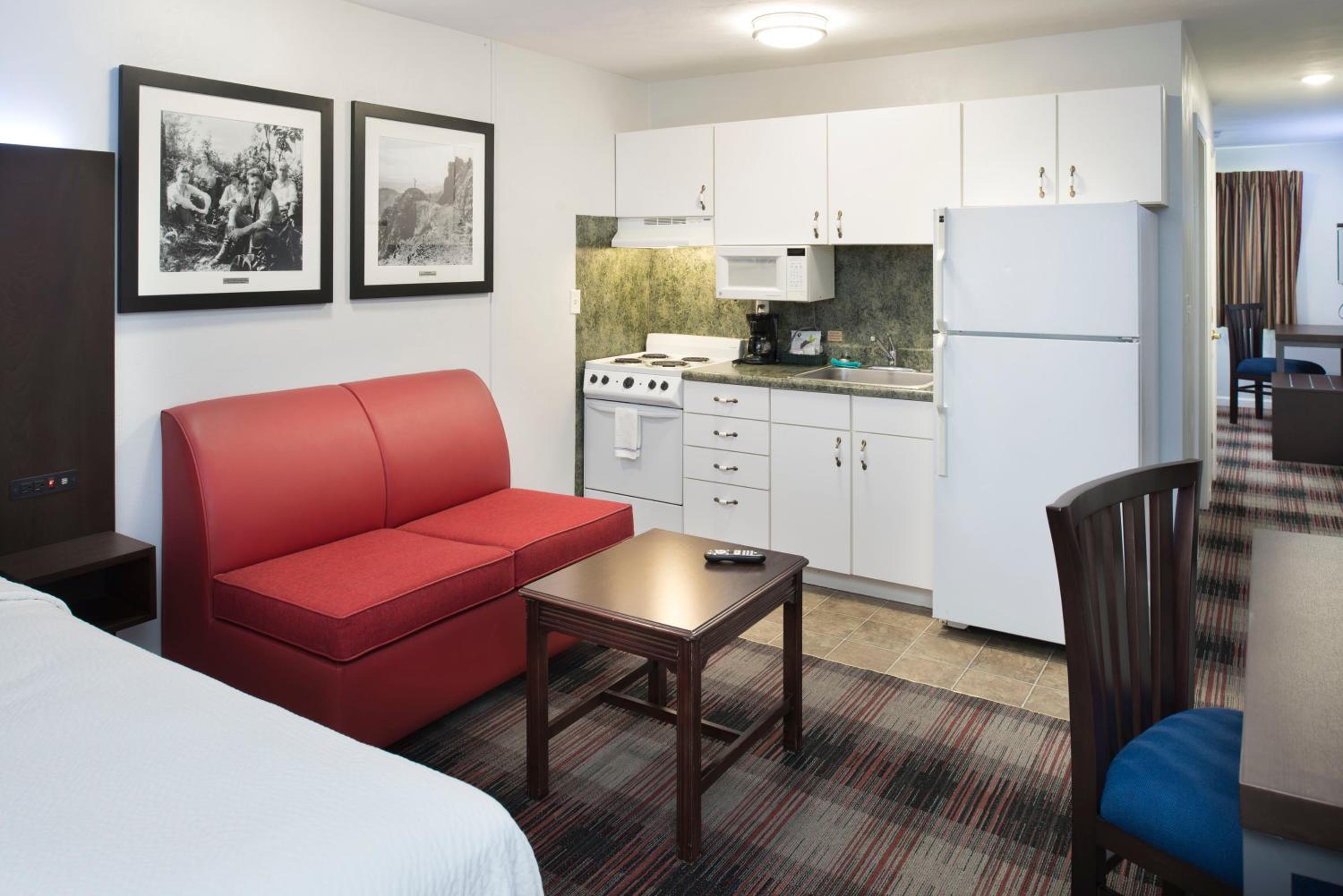 Deluxe One-Bedroom Suite - Photo 1