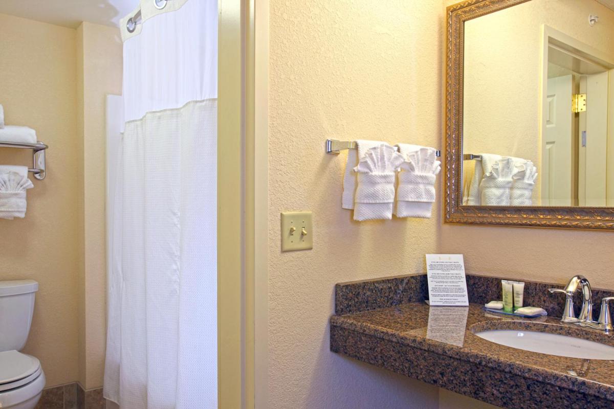 One-Bedroom King Suite with Kitchen - Photo 5
