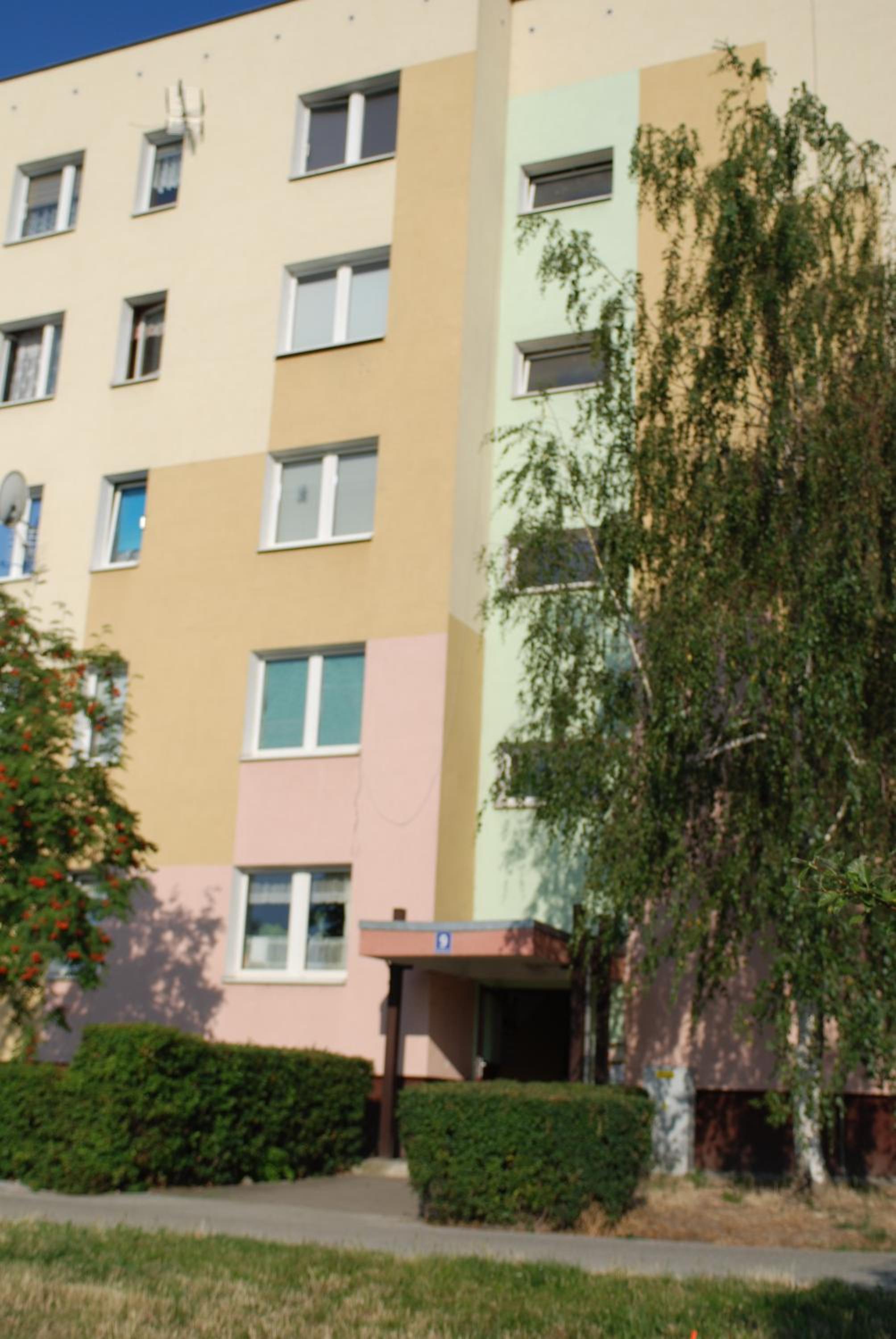 Apartment - Photo 6