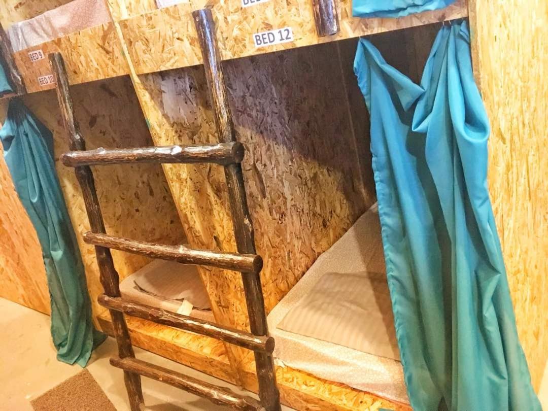 Bunk Bed in Mixed Dormitory Room photo 3