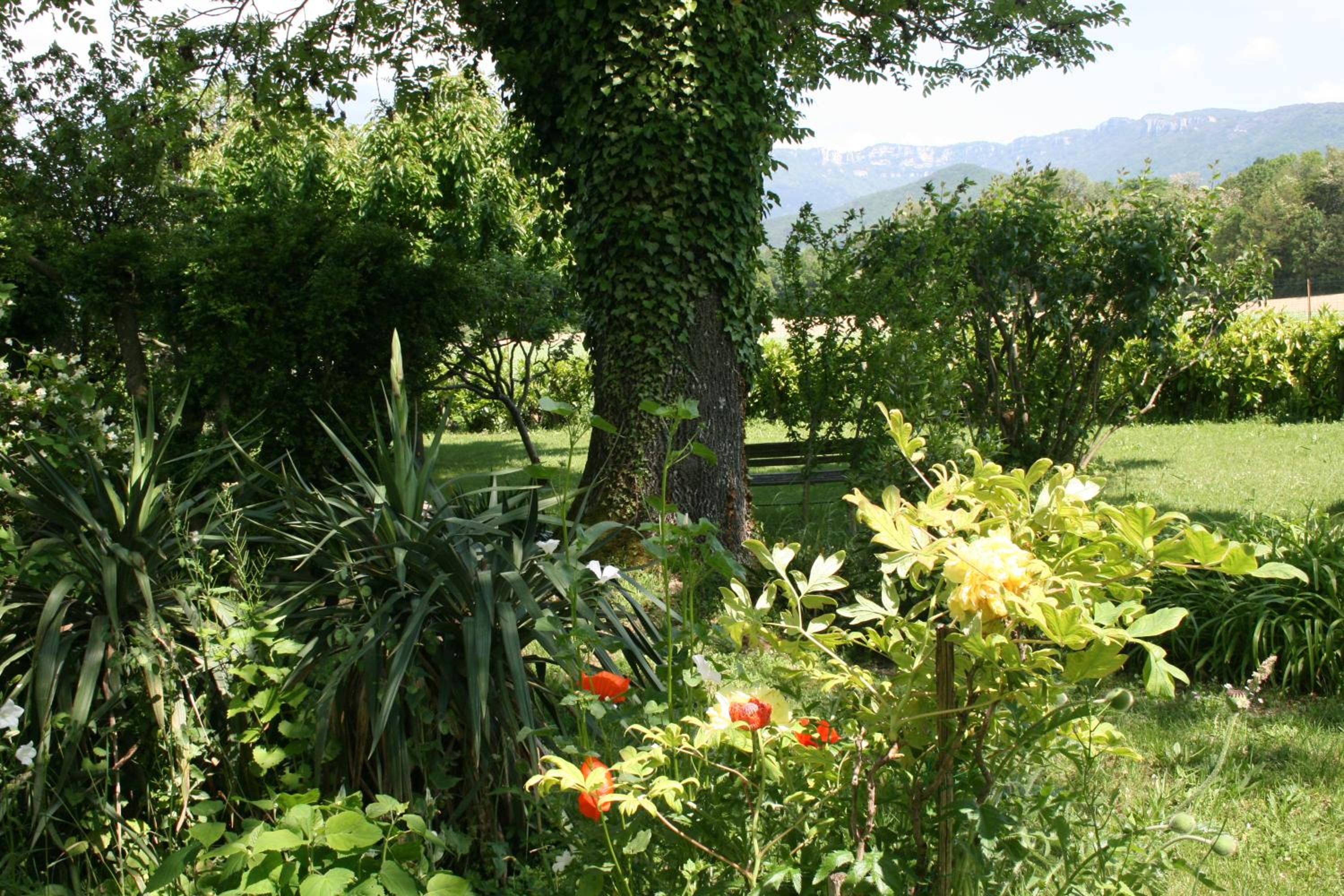 Suite with Garden View - Photo 5