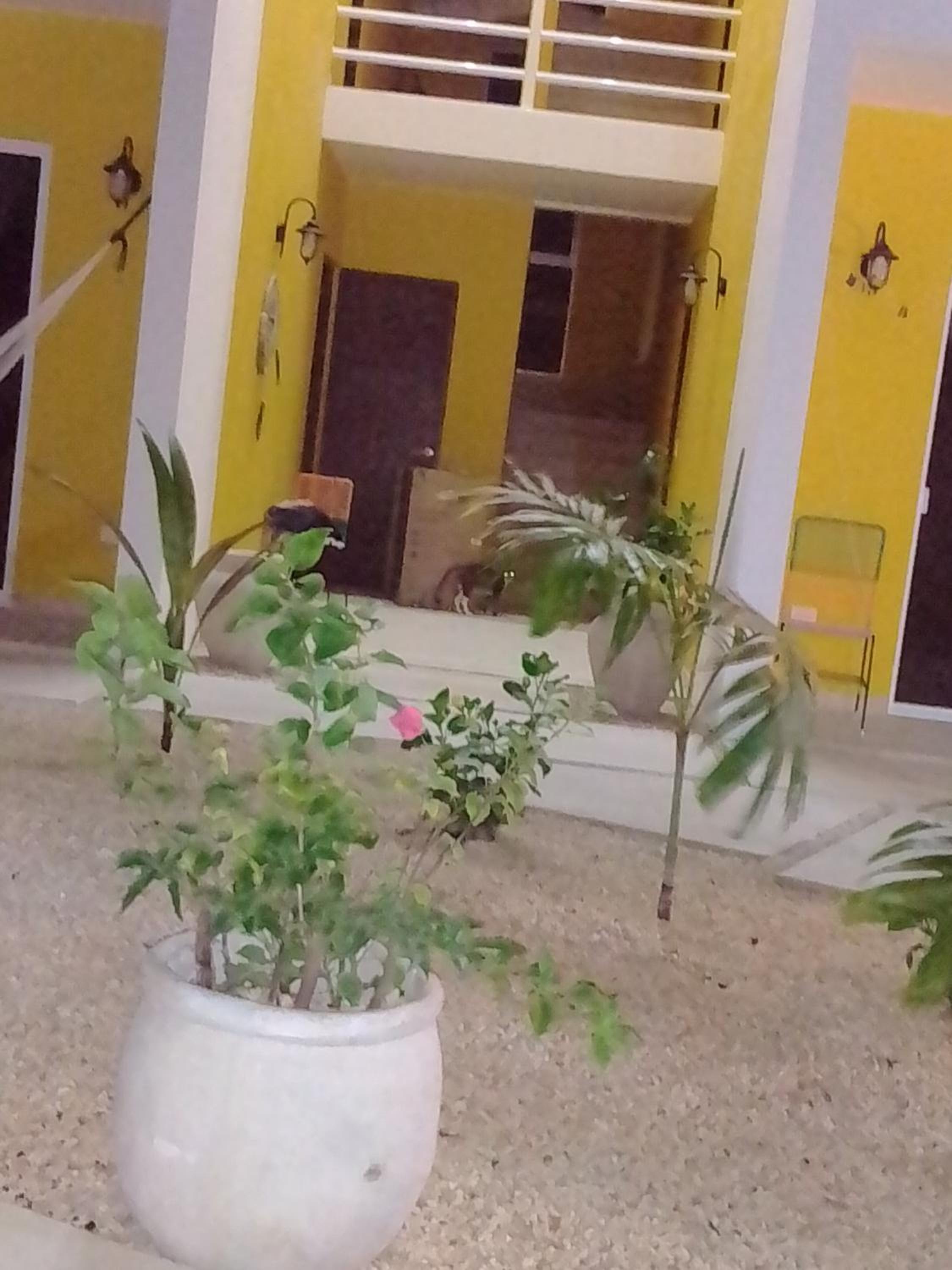 Double Room with Balcony - Photo 11