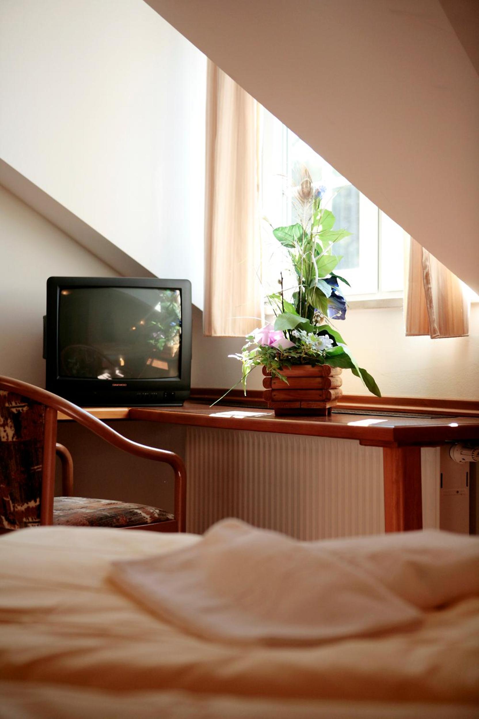 Single Room photo 2