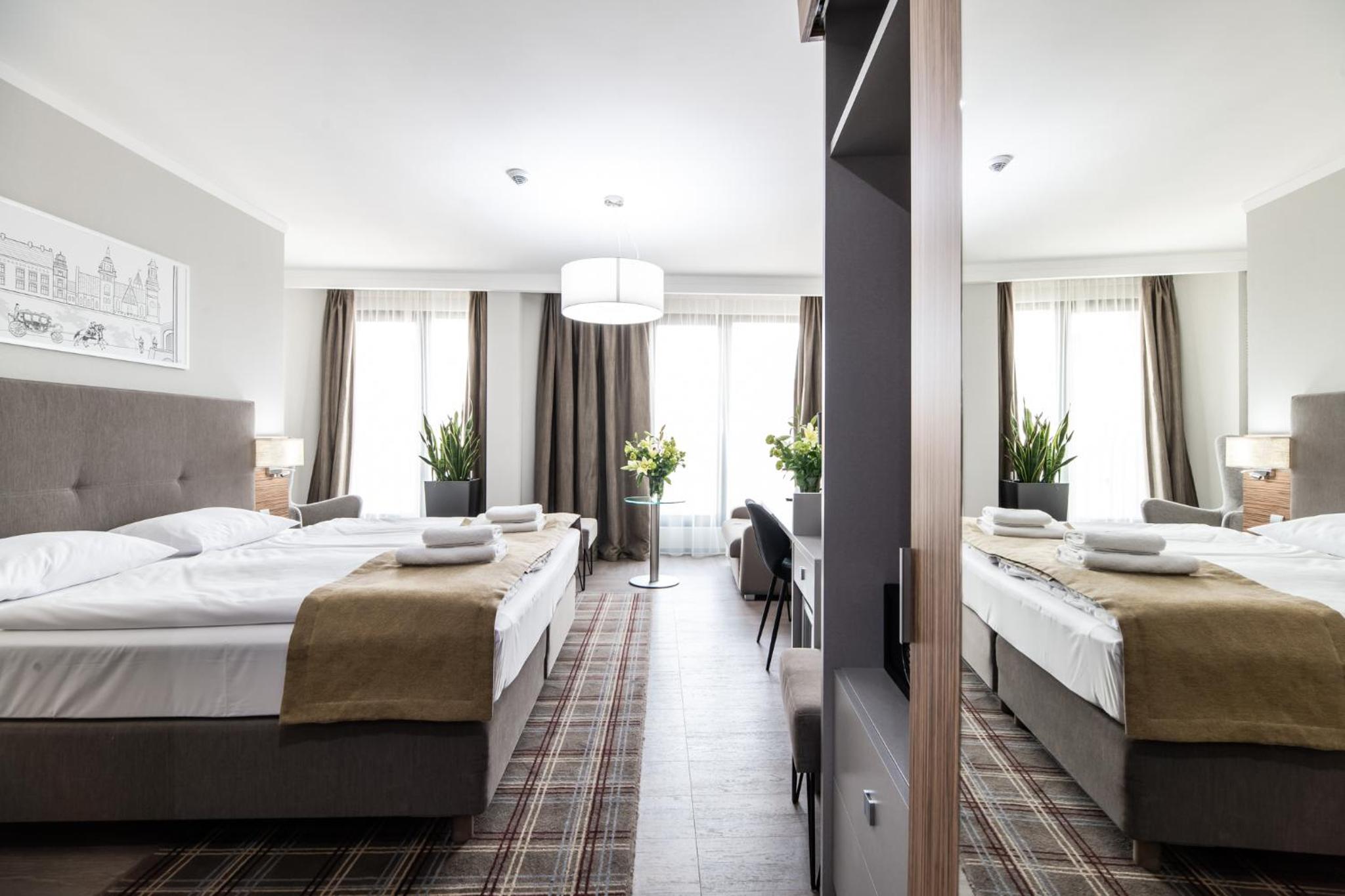 Deluxe Double or Twin Room photo 2