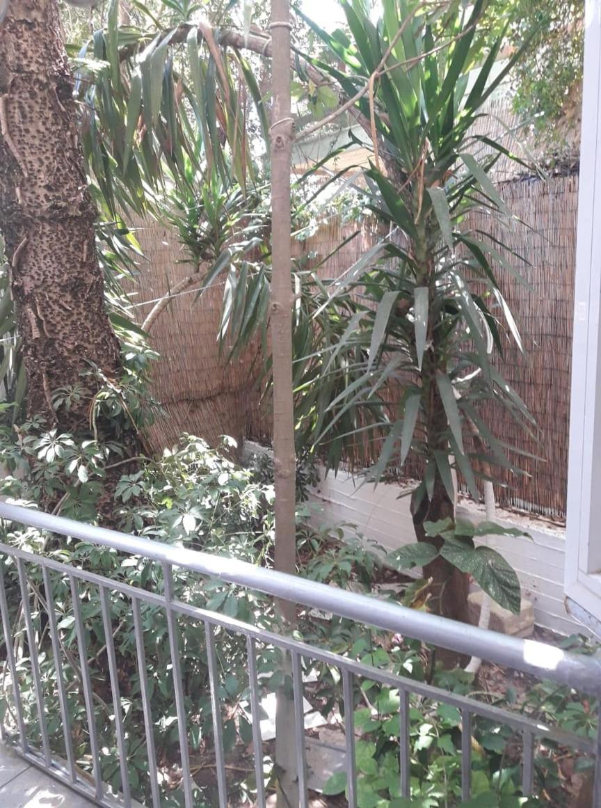 Standard Double or Twin Room with Garden View - Photo 3