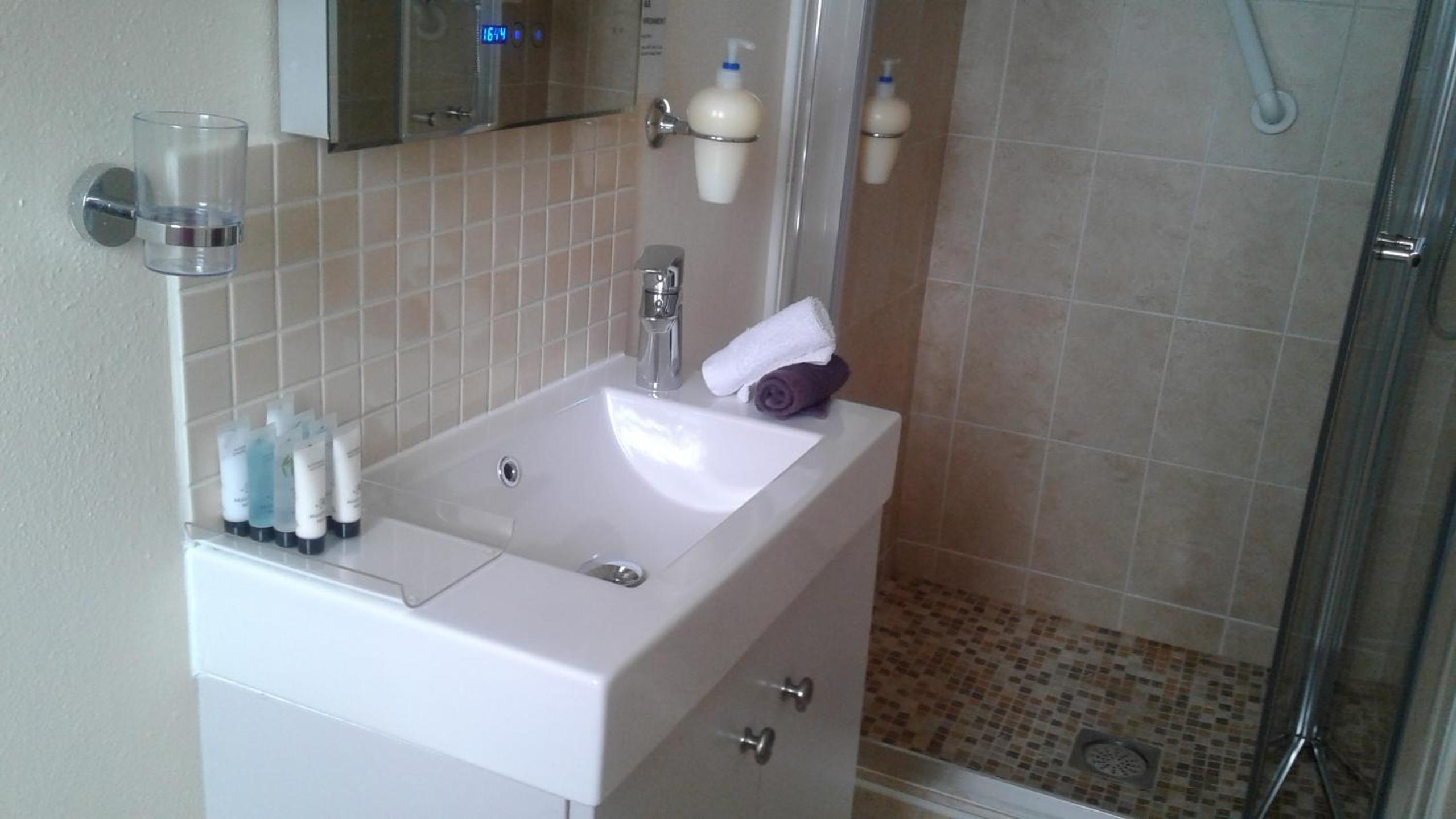 Deluxe Double or Twin Room with Garden View photo 2