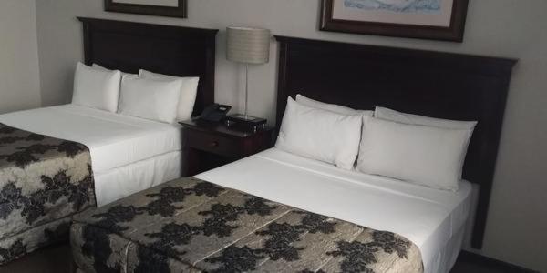 Quadruple Room photo 1