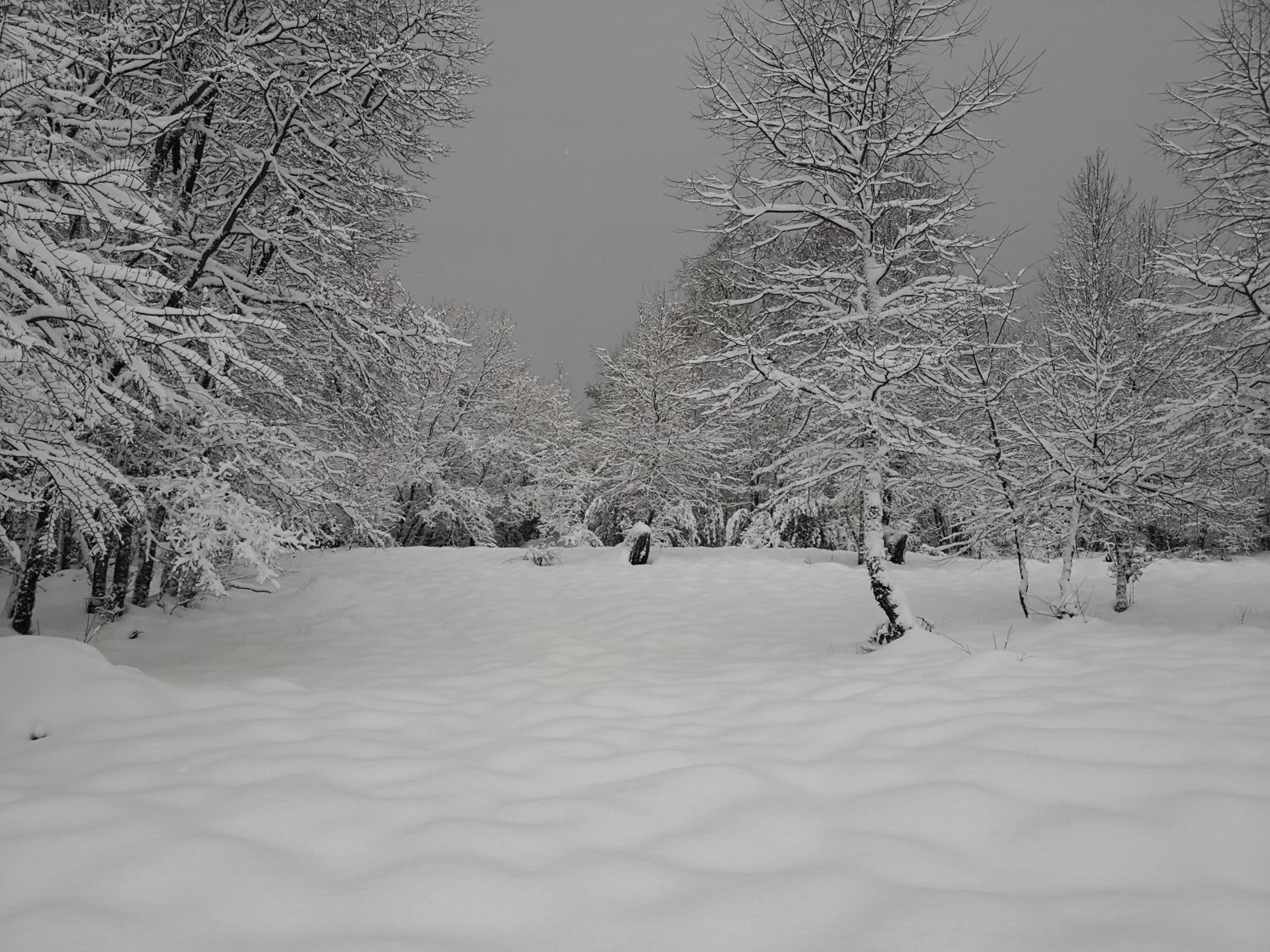 Superior Chalet photo 2