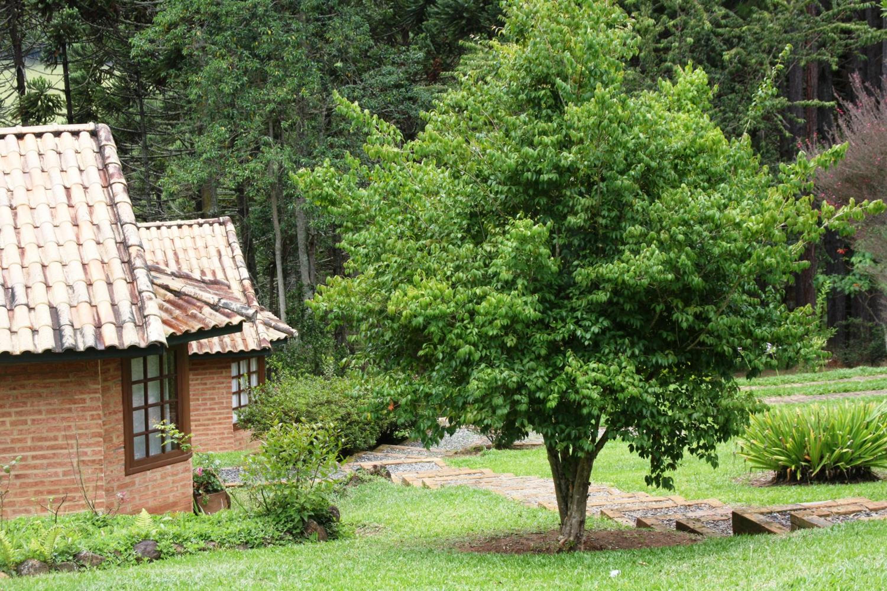 Standard Chalet - Photo 7