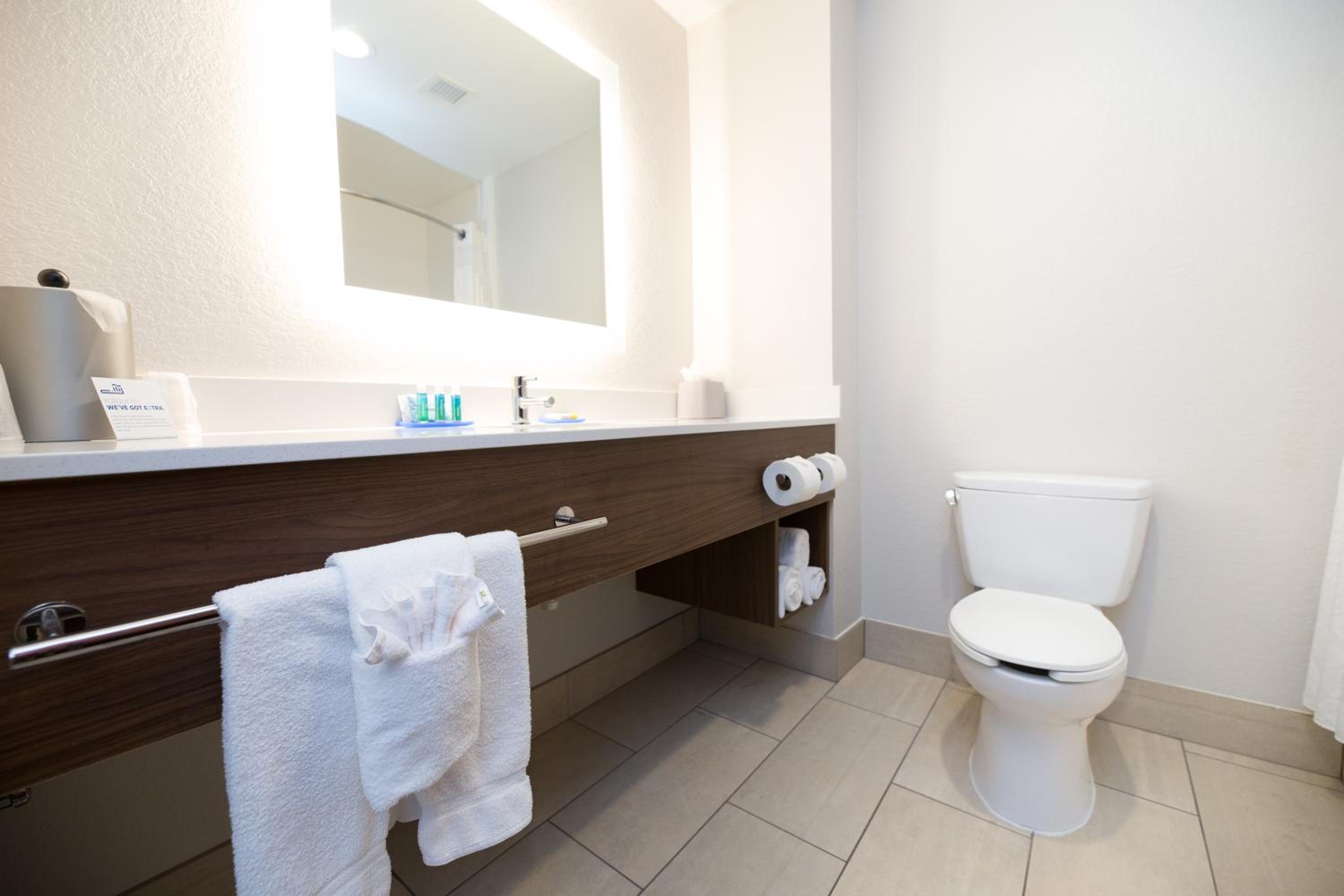 One-Bedroom King Suite - Photo 6