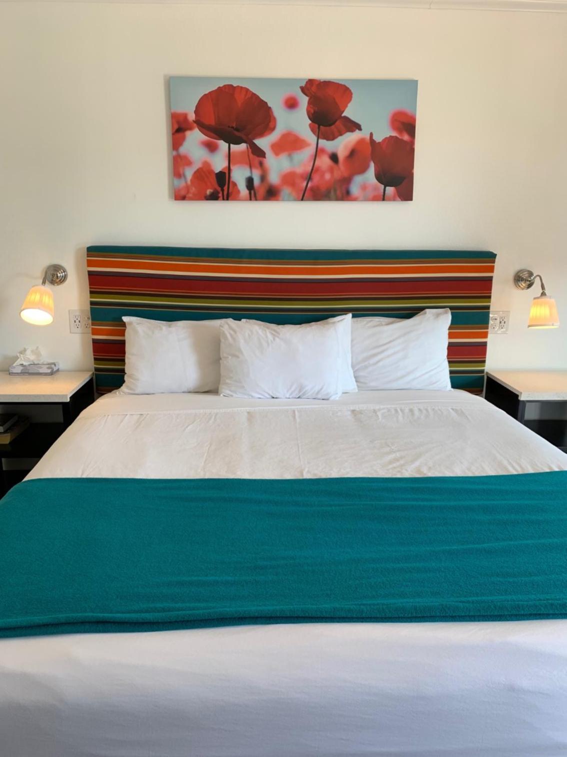 King Room - Photo 1