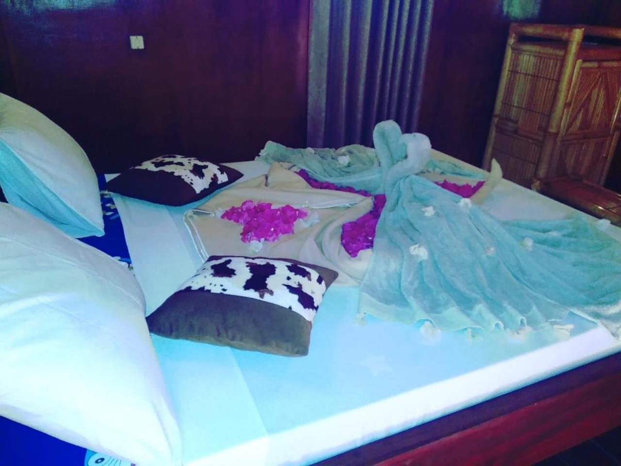 Standard Double Room - Photo 4