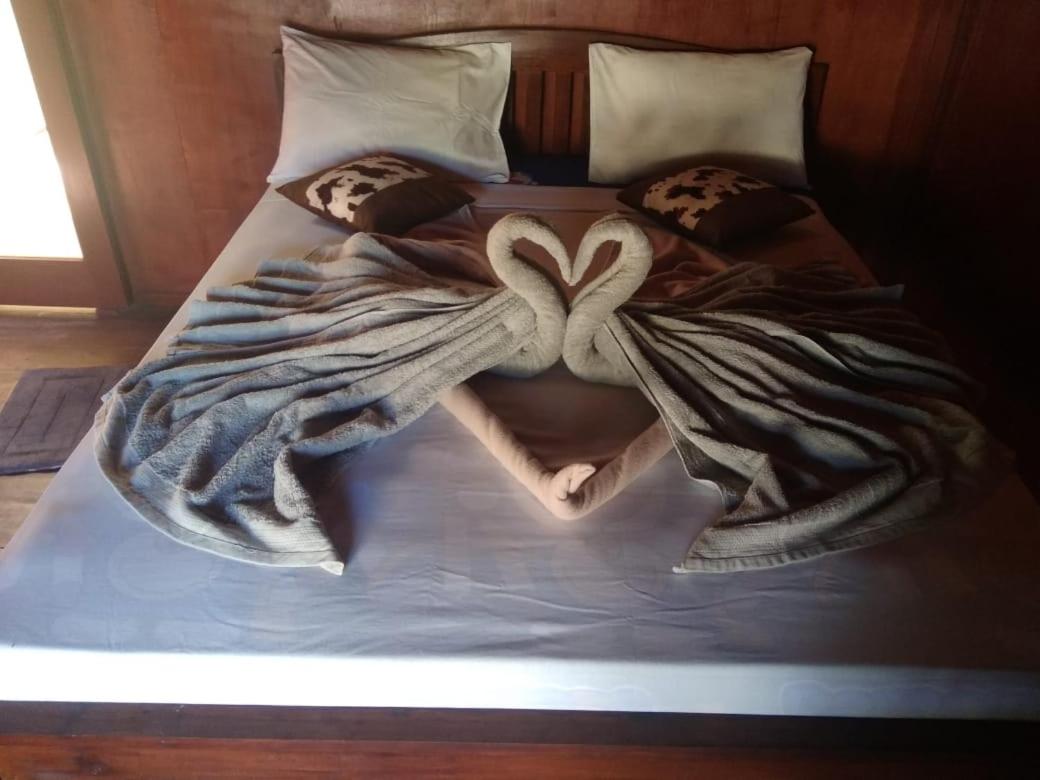 Standard Double Room - Photo 18
