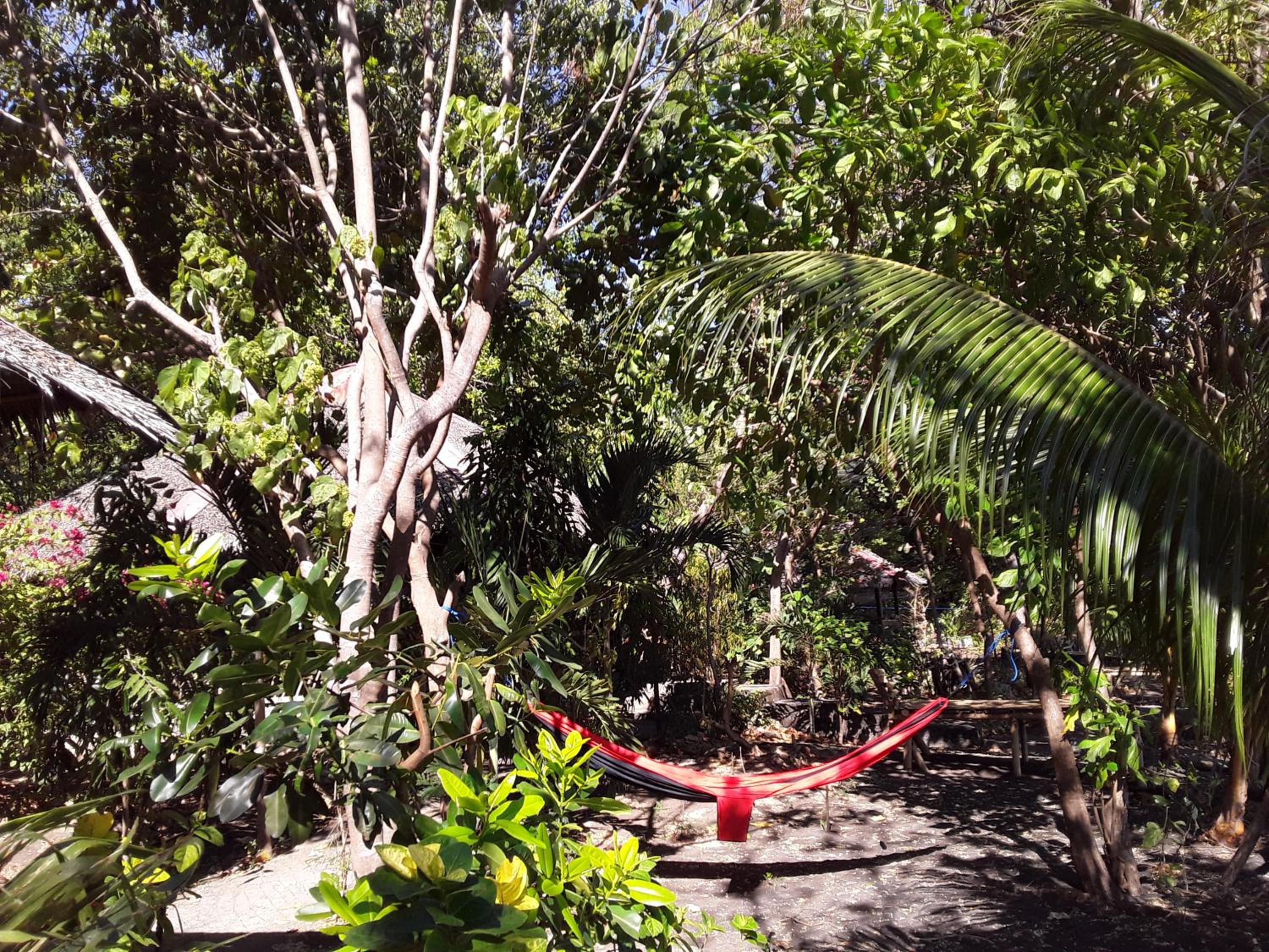 Bungalow - Beach Front - Photo 2