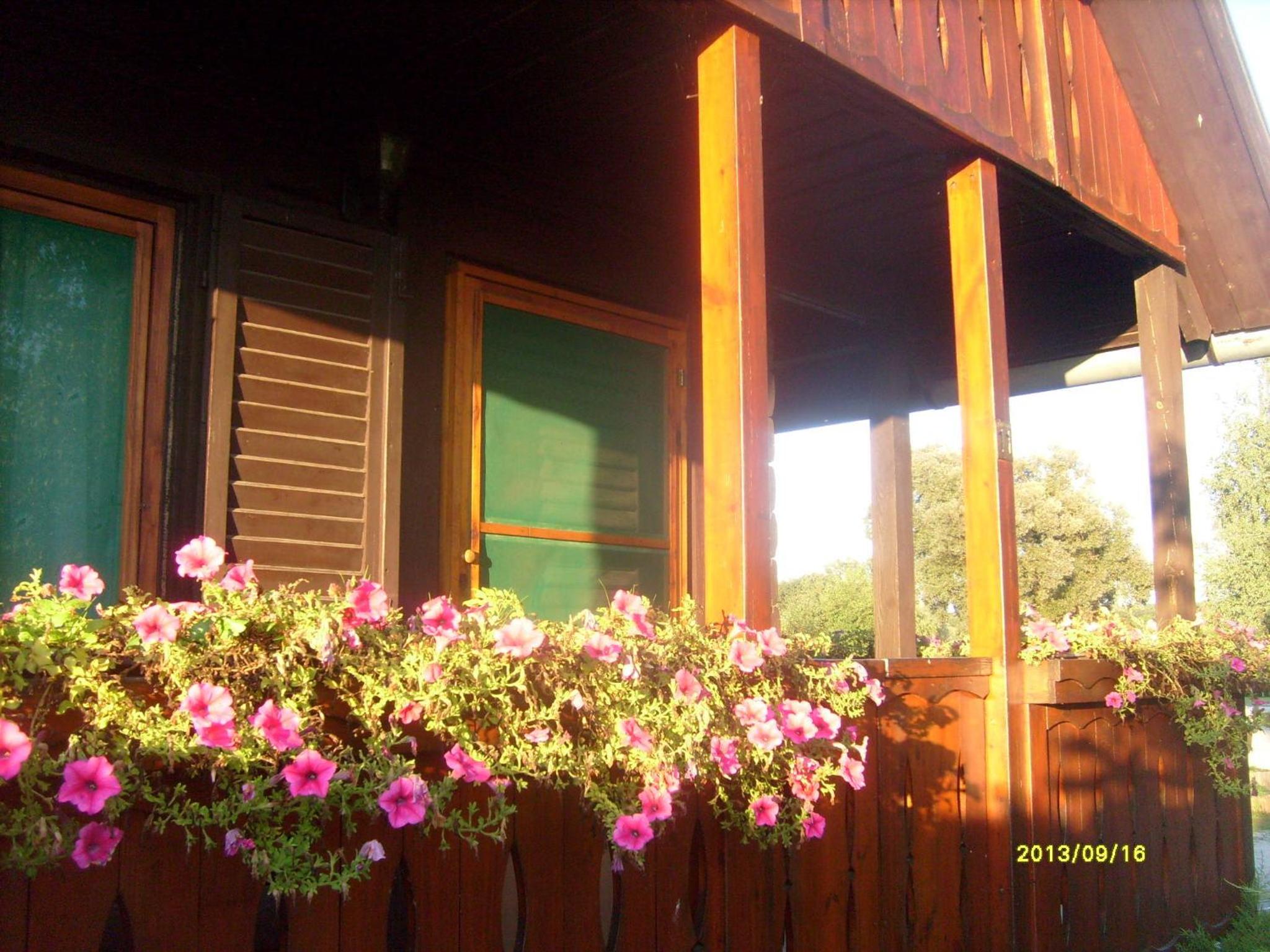 Bungalow with Balcony photo 3