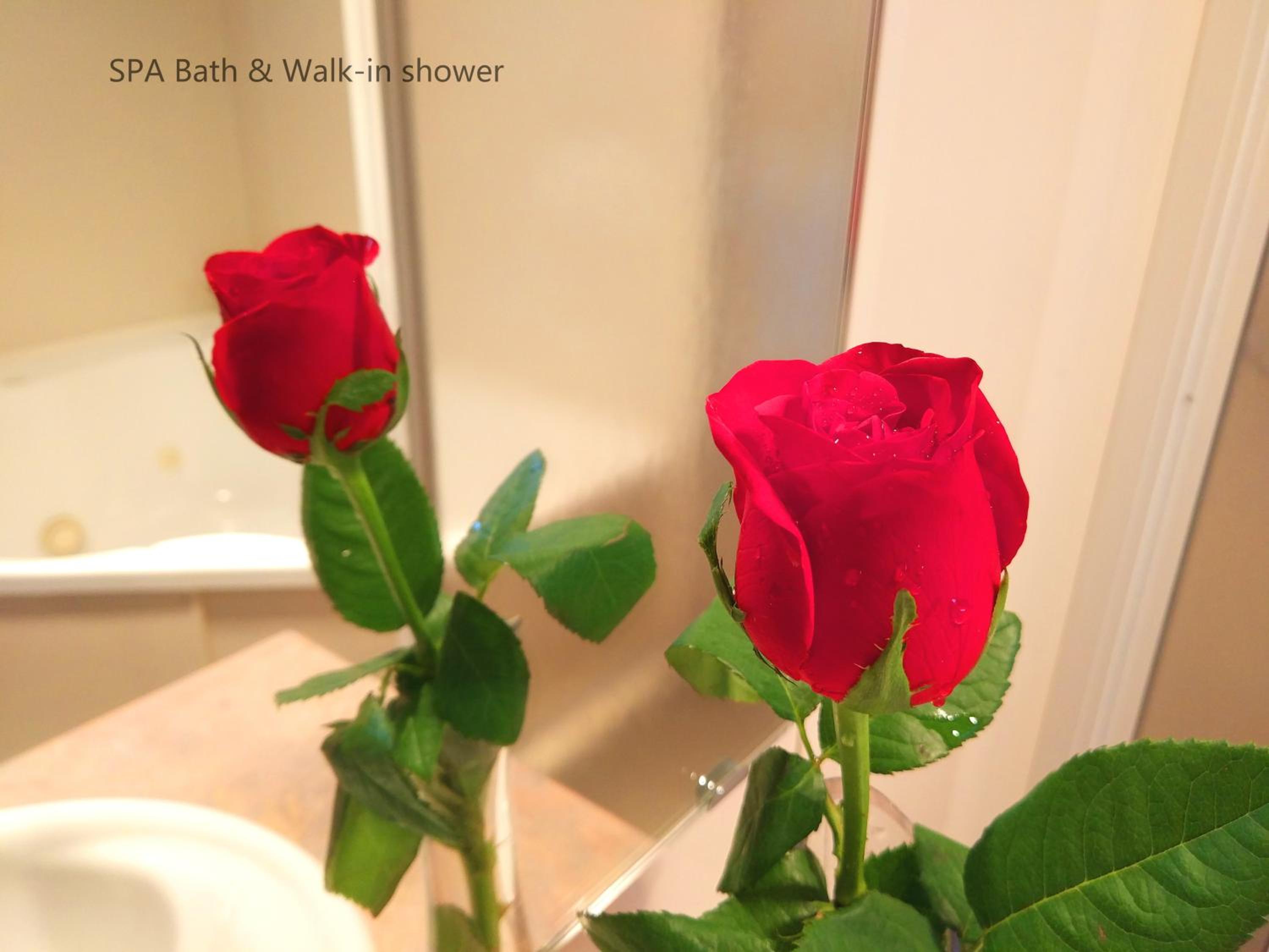 Superior Studio with Spa Bath - Photo 10