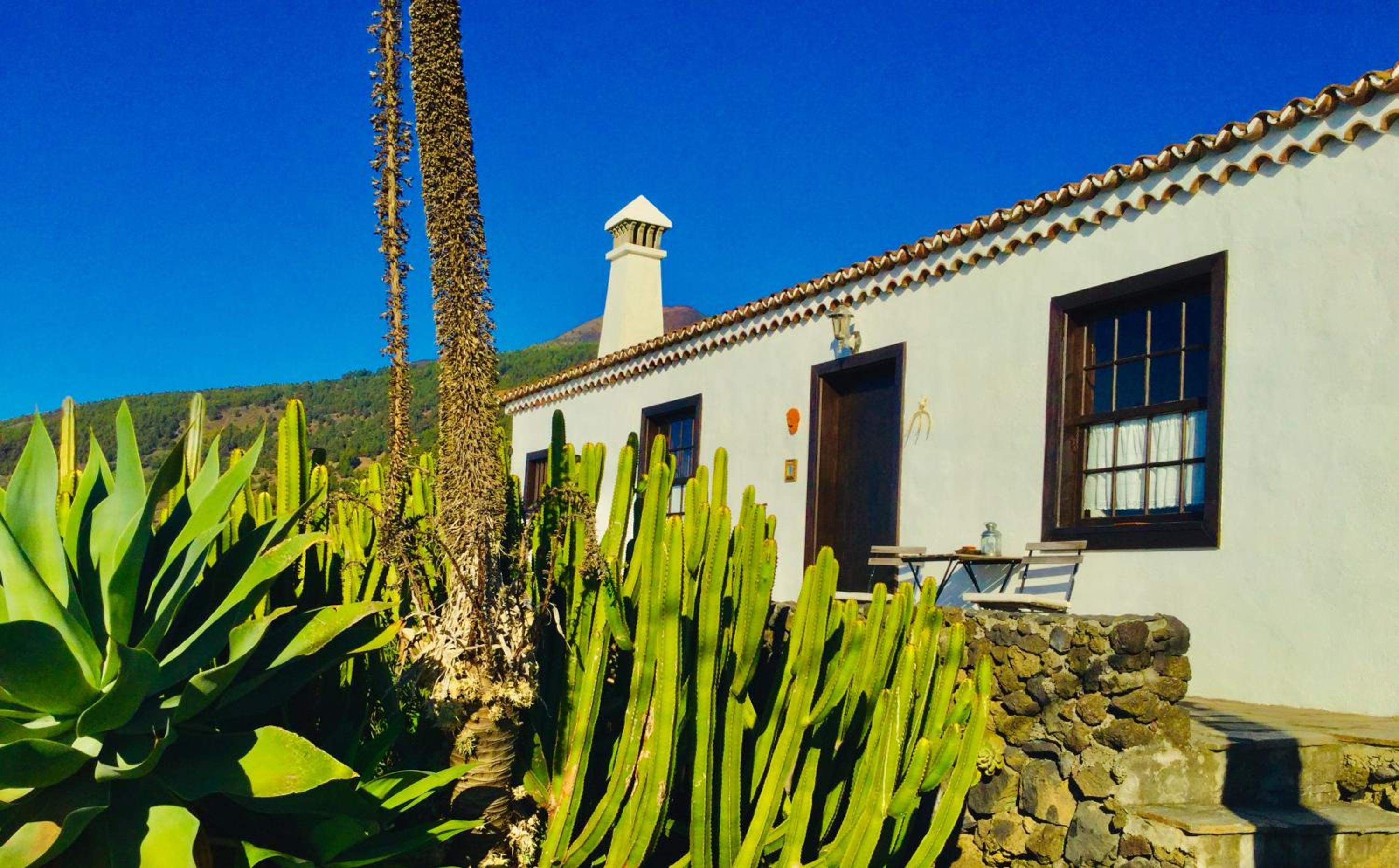 Vacation Home photo 3