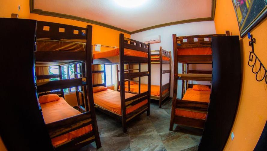 Bunk Bed in Mixed Dormitory Room