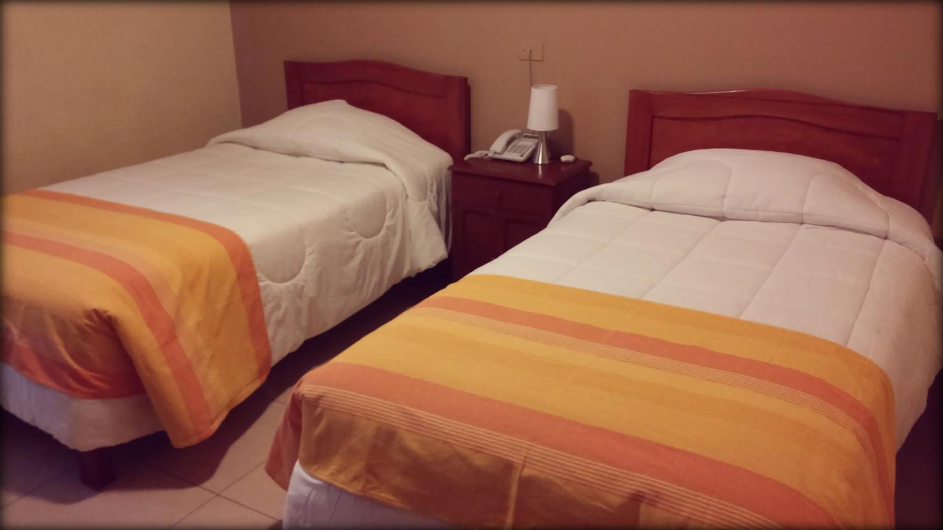 Twin Room photo 2