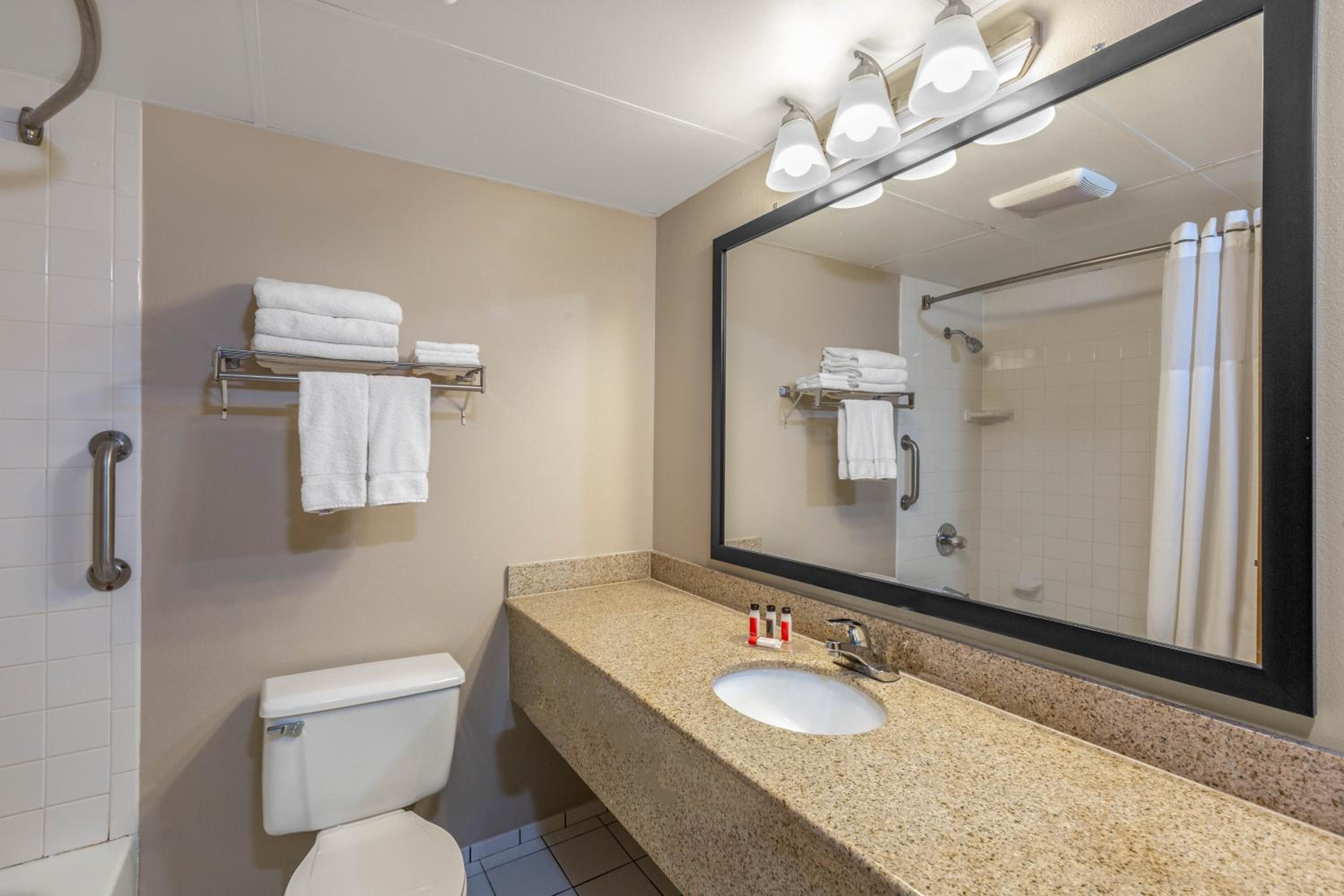 King Suite with Jetted Tub and Pool Area - Non-Smoking photo 3
