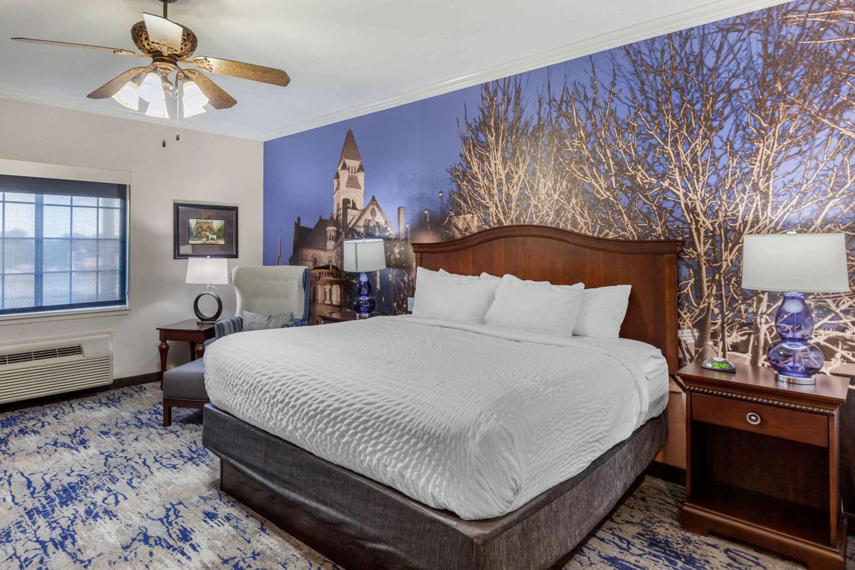 King Room - Non-Smoking - Photo 8