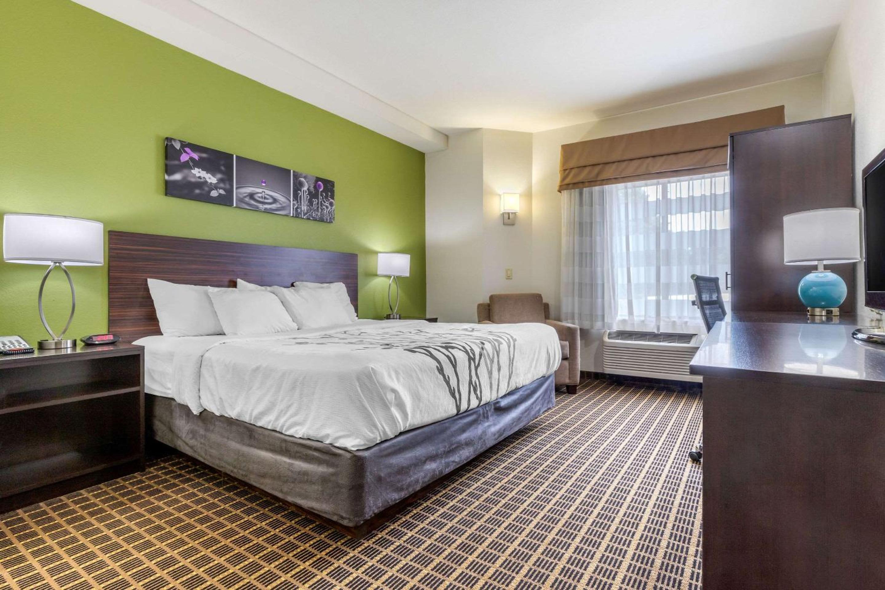 King Room - Non-Smoking - Photo 3