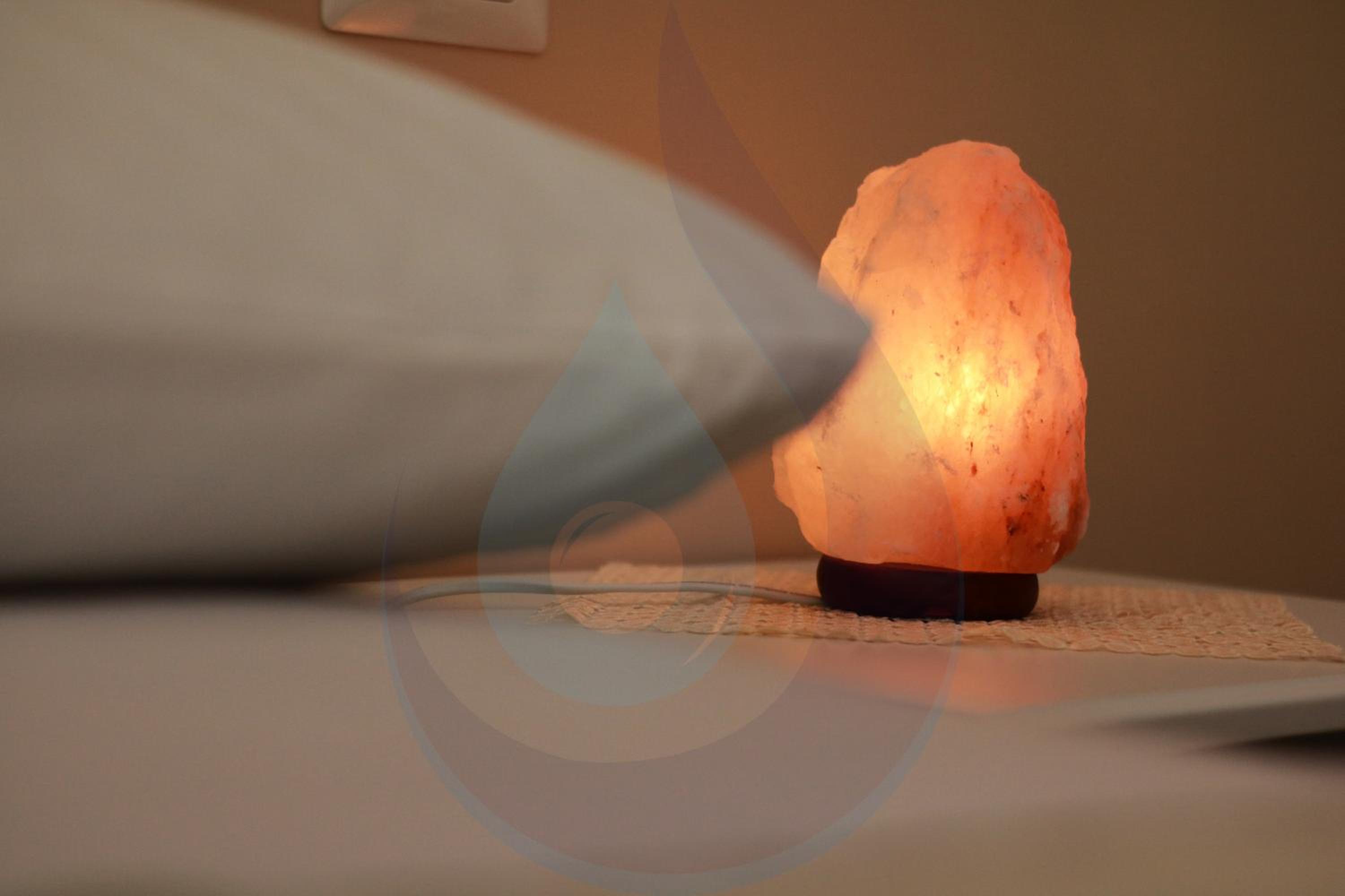 Double or Twin Room - Disability Access