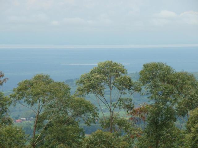 Single Room with Mountain View photo 2