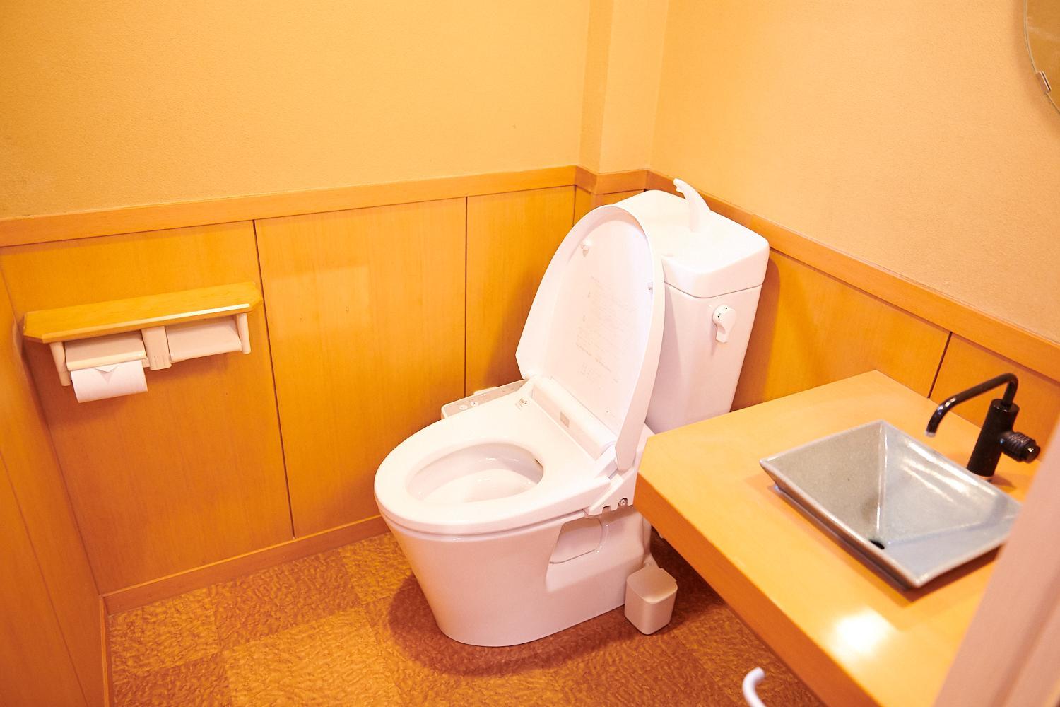 Duplex Apartment photo 3