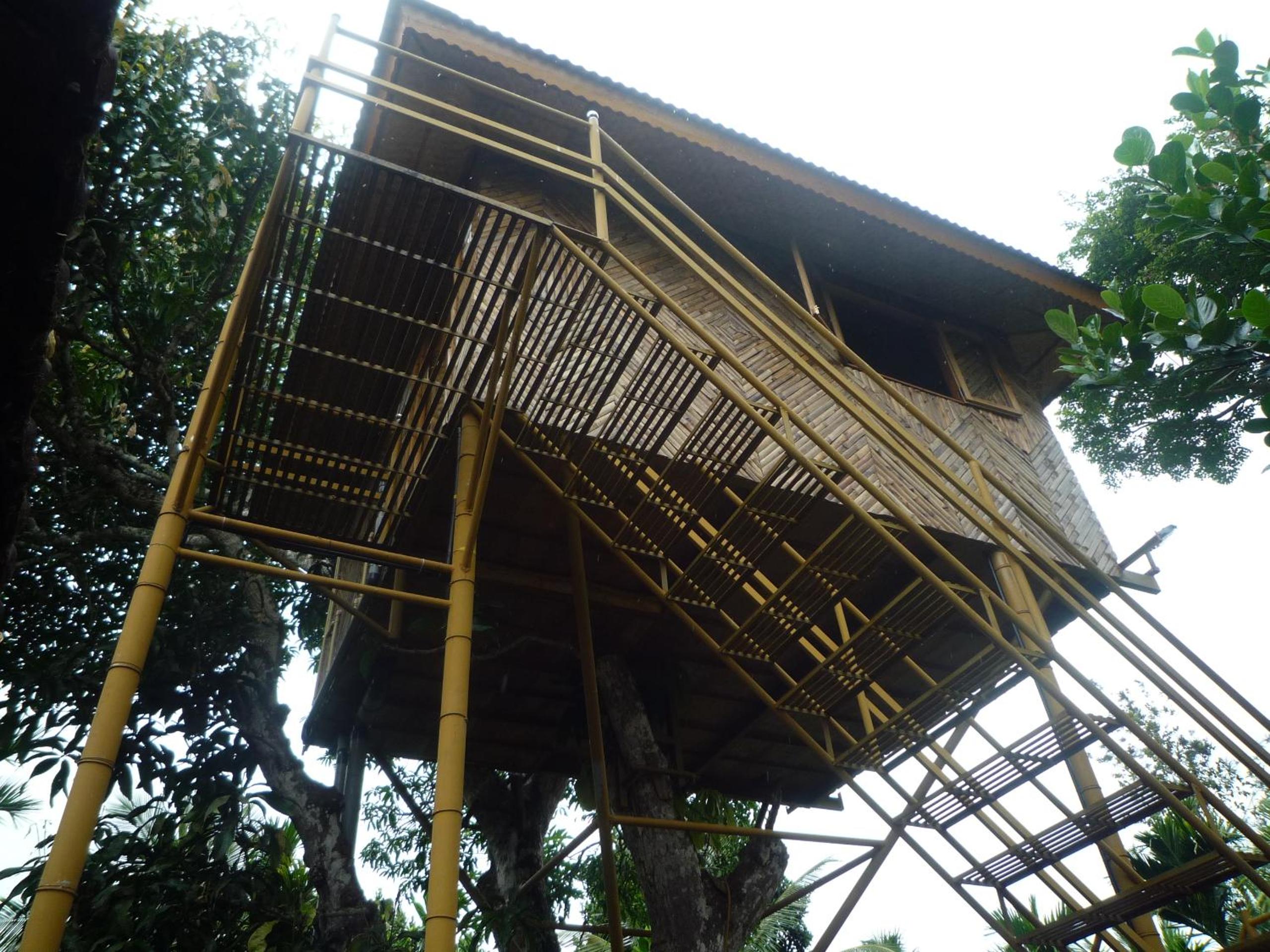 Tree House photo 3