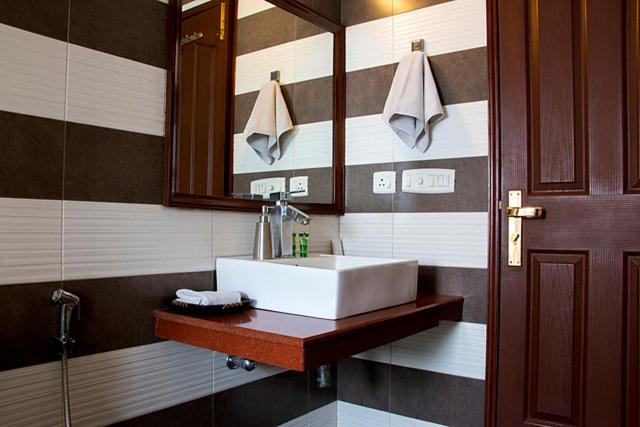 Deluxe Double or Twin Room photo 2