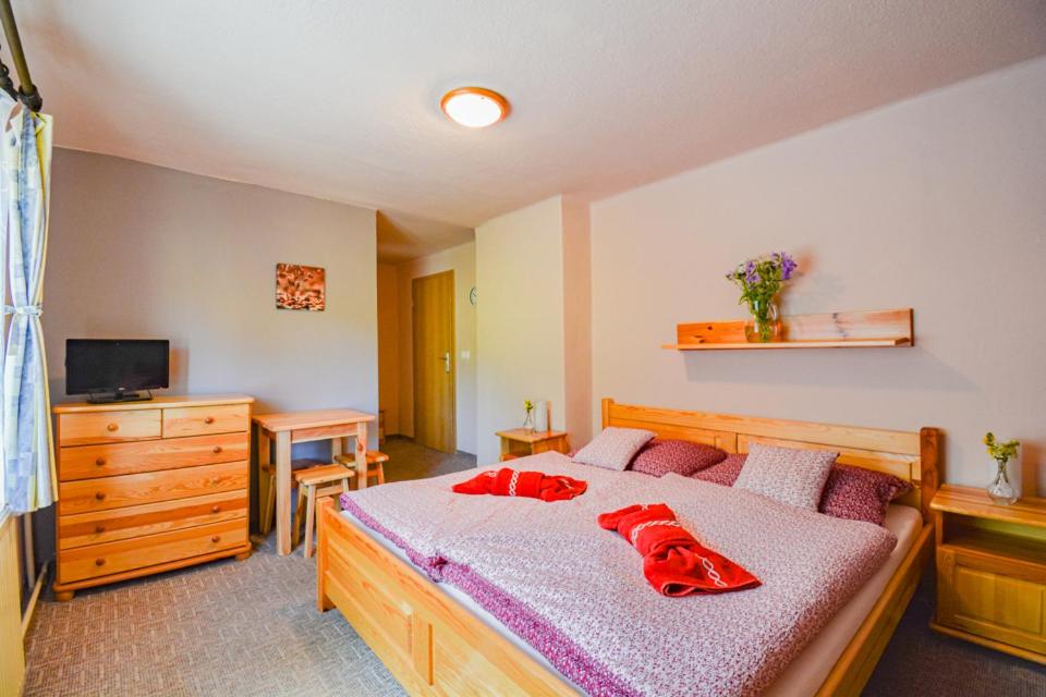 Double Room photo 1