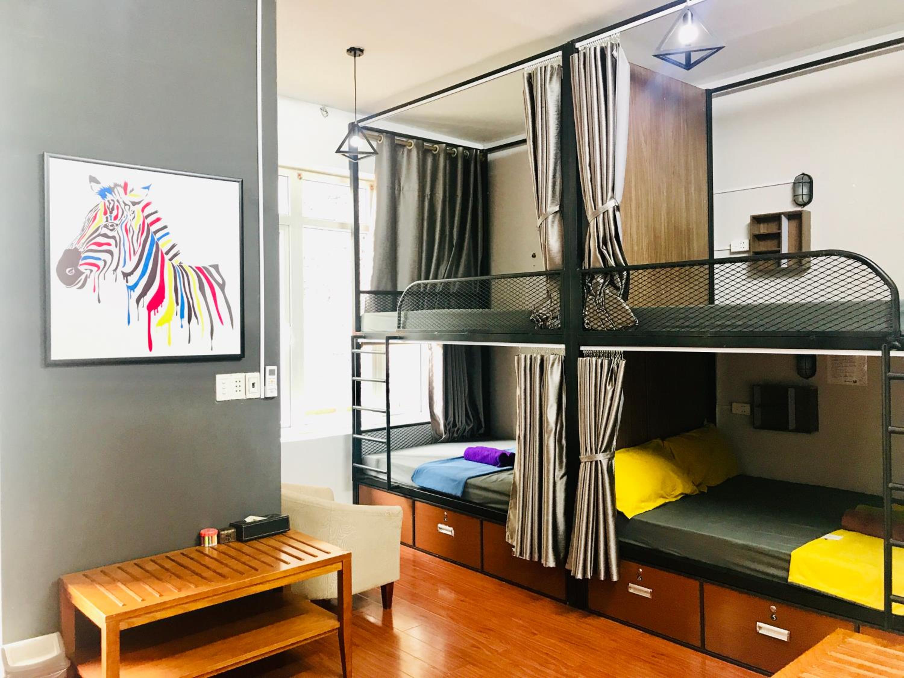 Bunk Bed in Mixed Dormitory Room photo 1