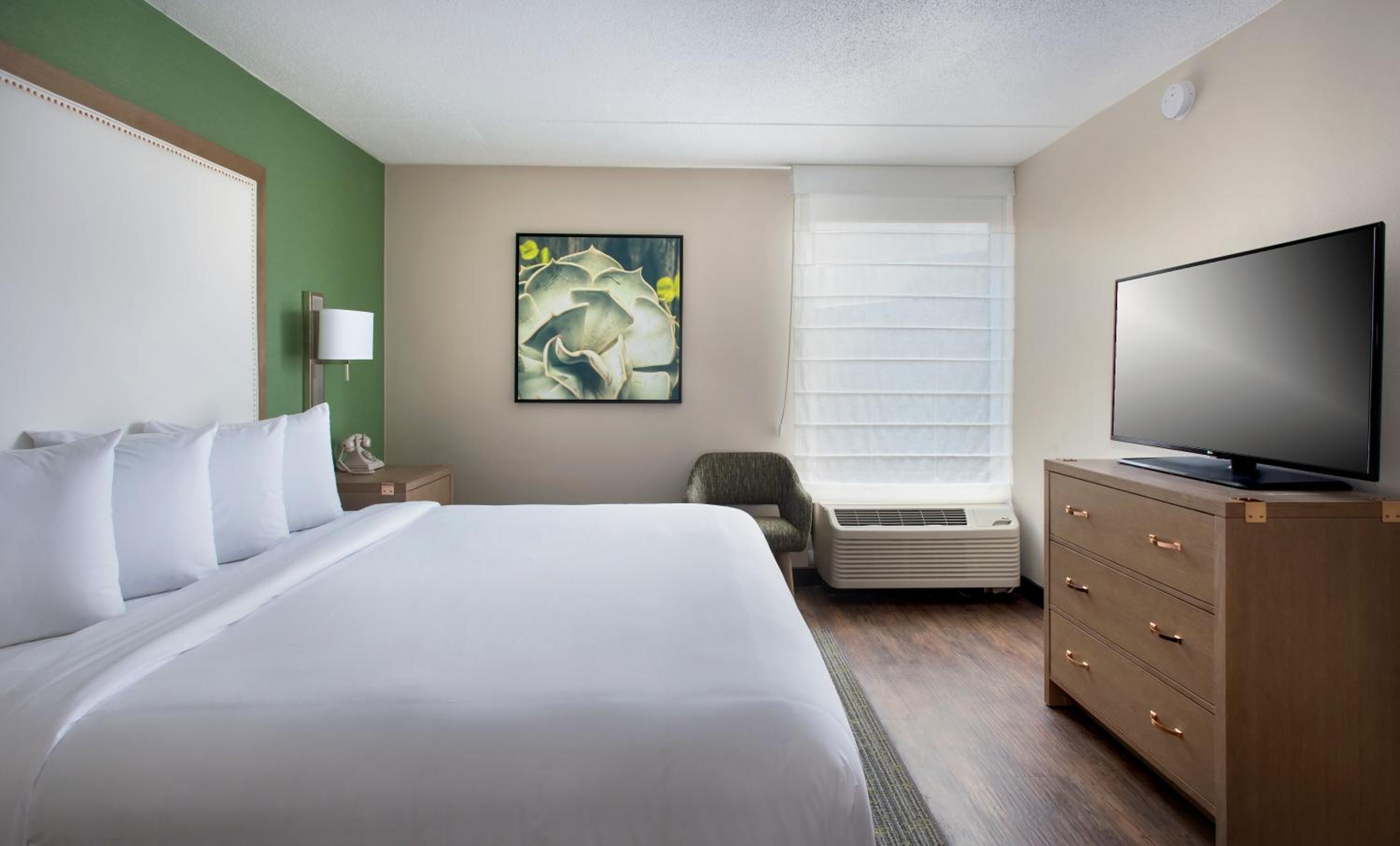 King Room - Non-Smoking