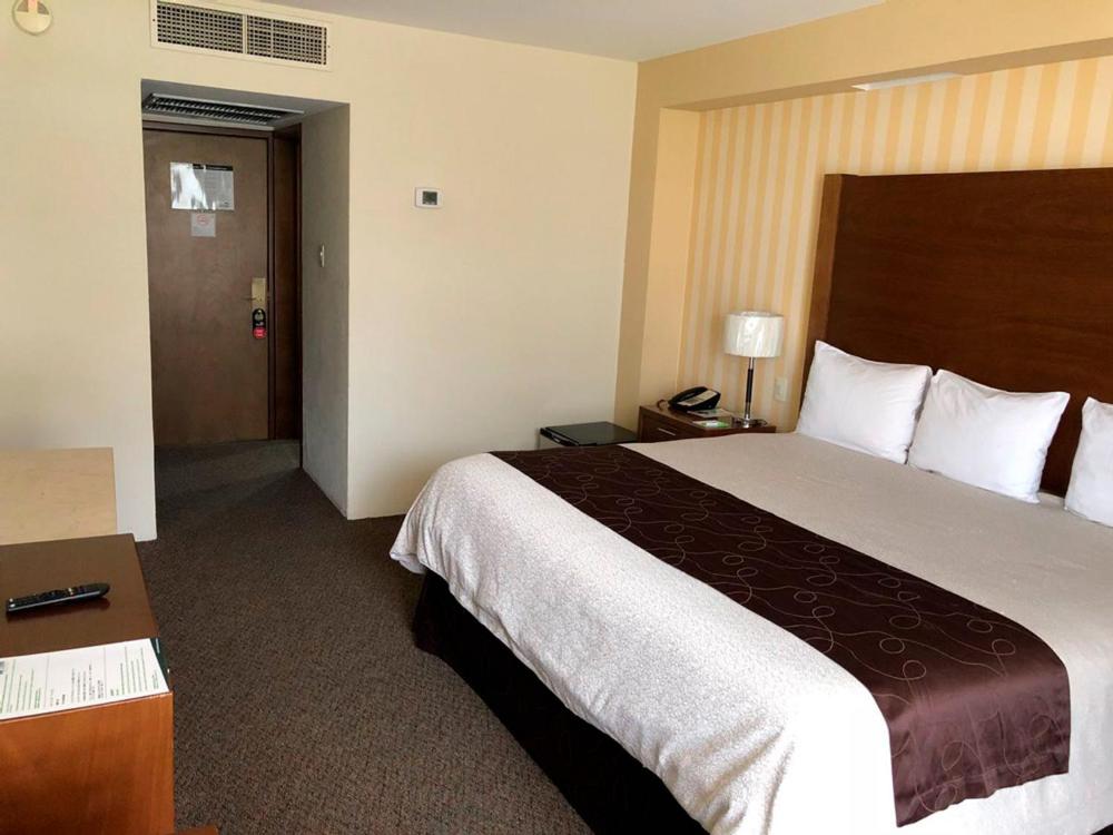 King Room - Photo 2